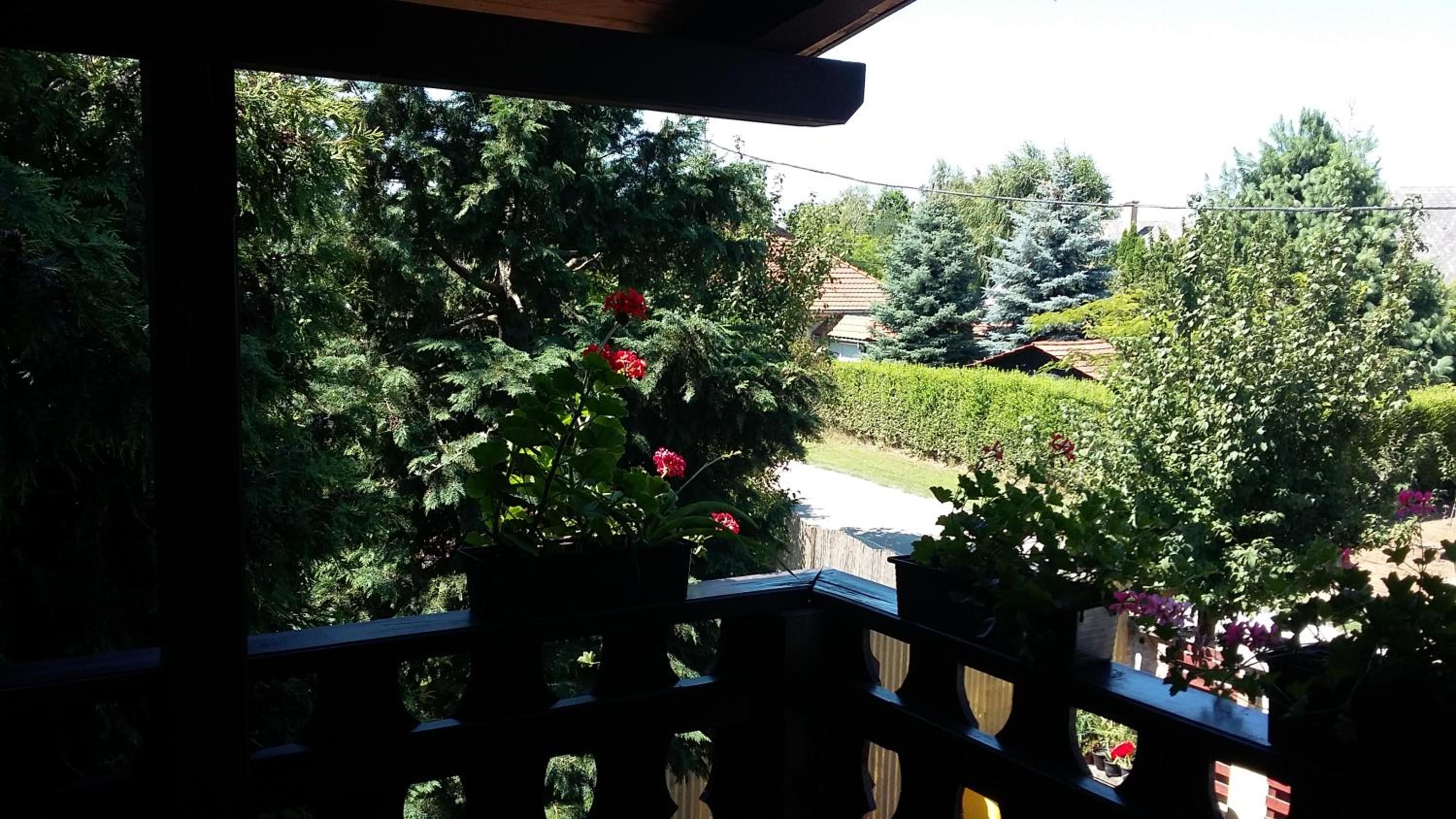 Photo 47