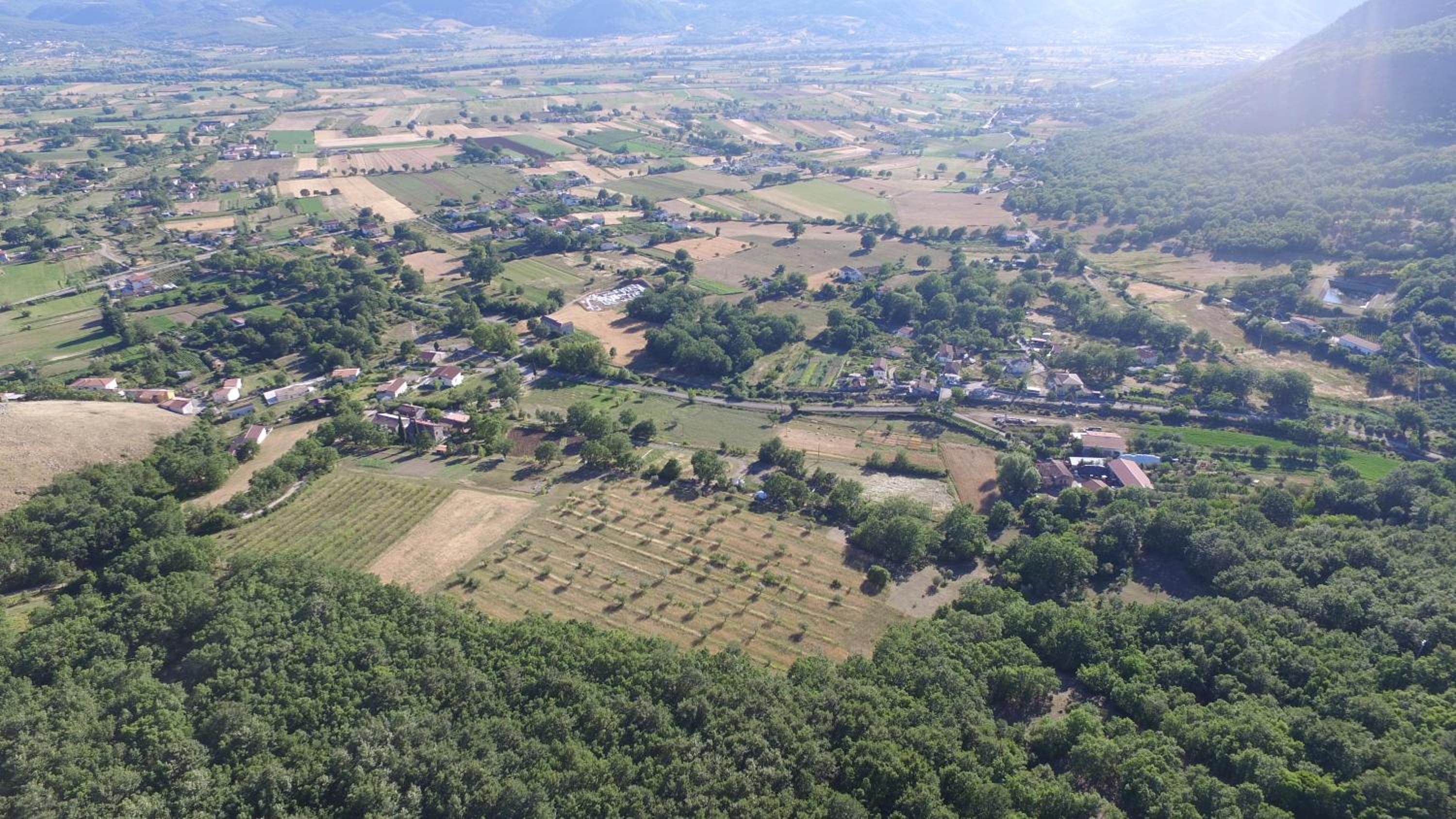 Azienda Agricola Il Querceto