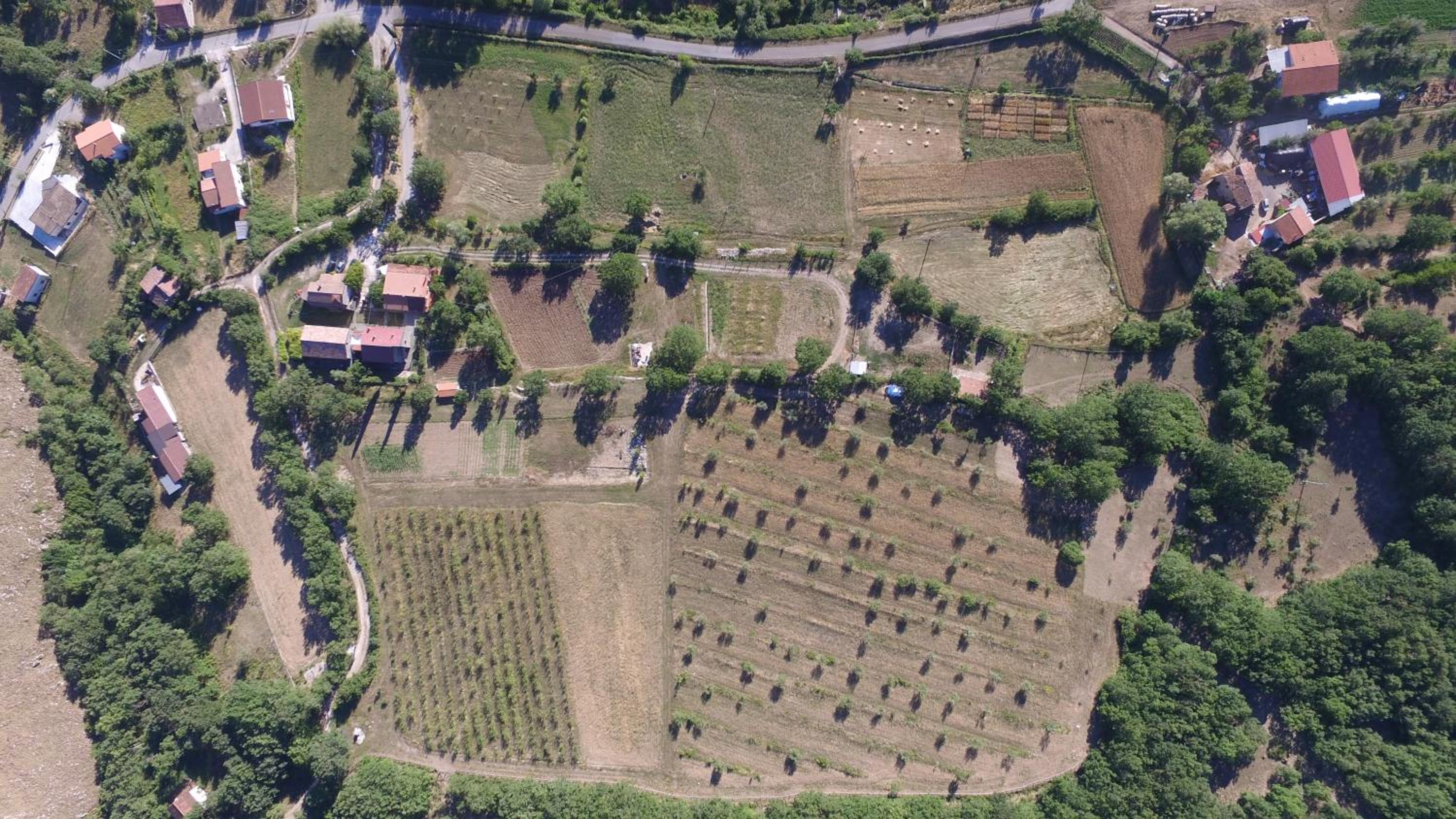 Azienda Agricola Il Querceto