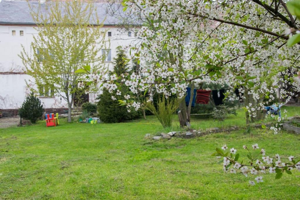 Photo 31