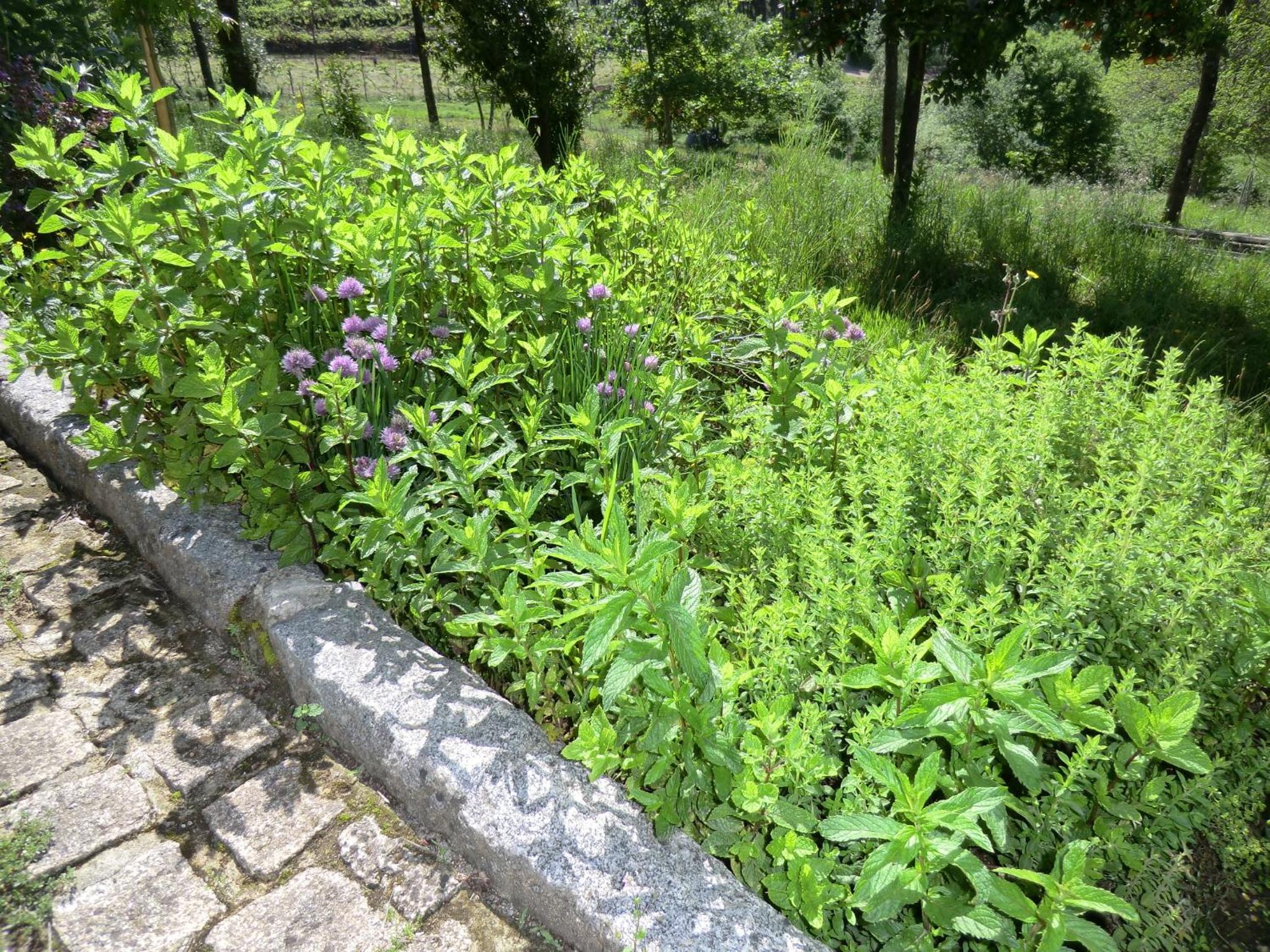 Photo 44
