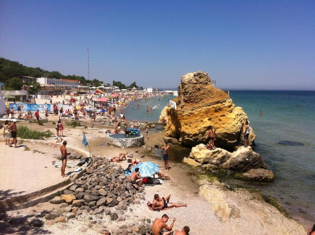Photo 11