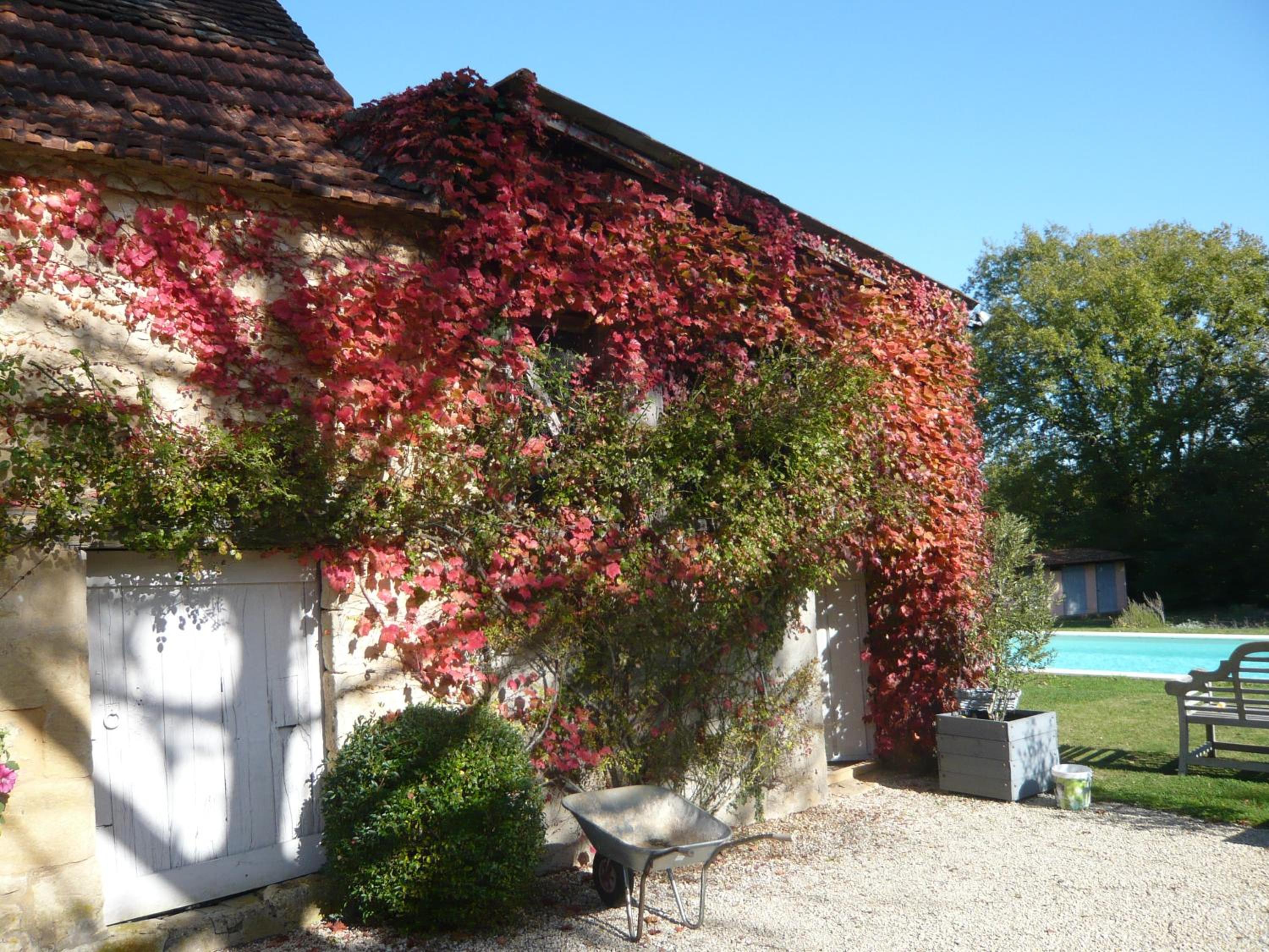 Photo 25