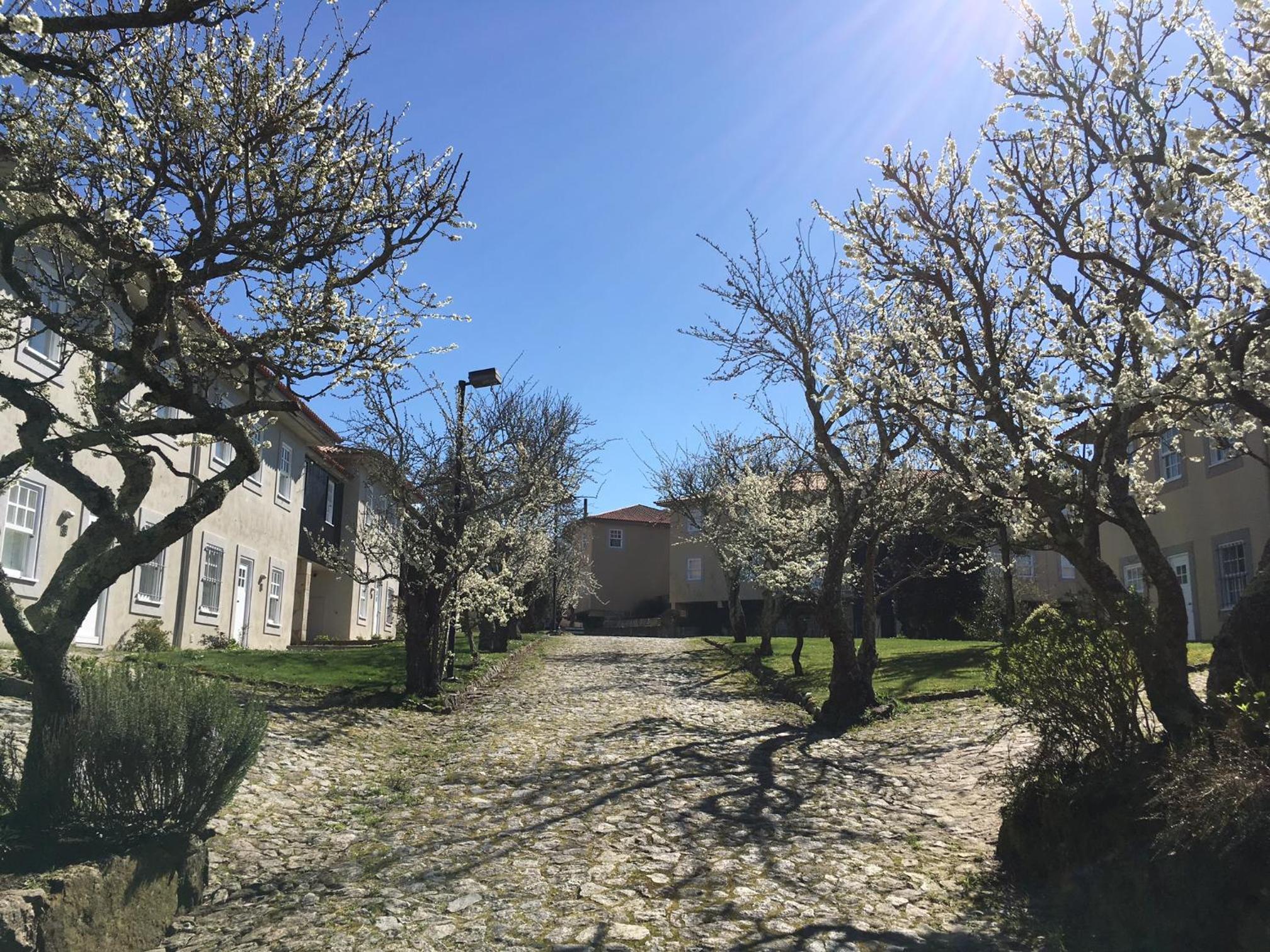 Quinta das Mineirinhas