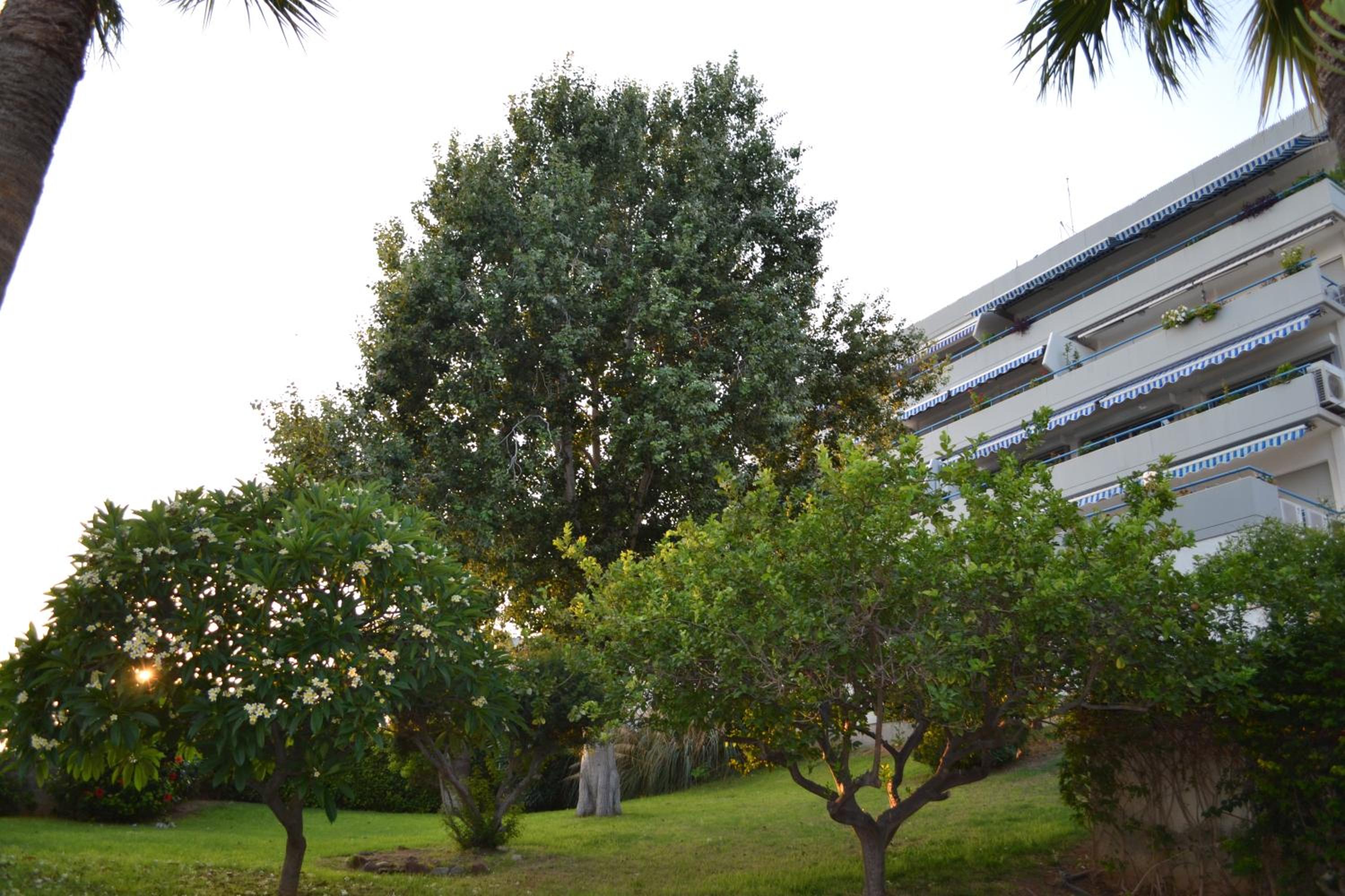 Limassol Vacations - Alania Sea View Apartment - Property Image 33