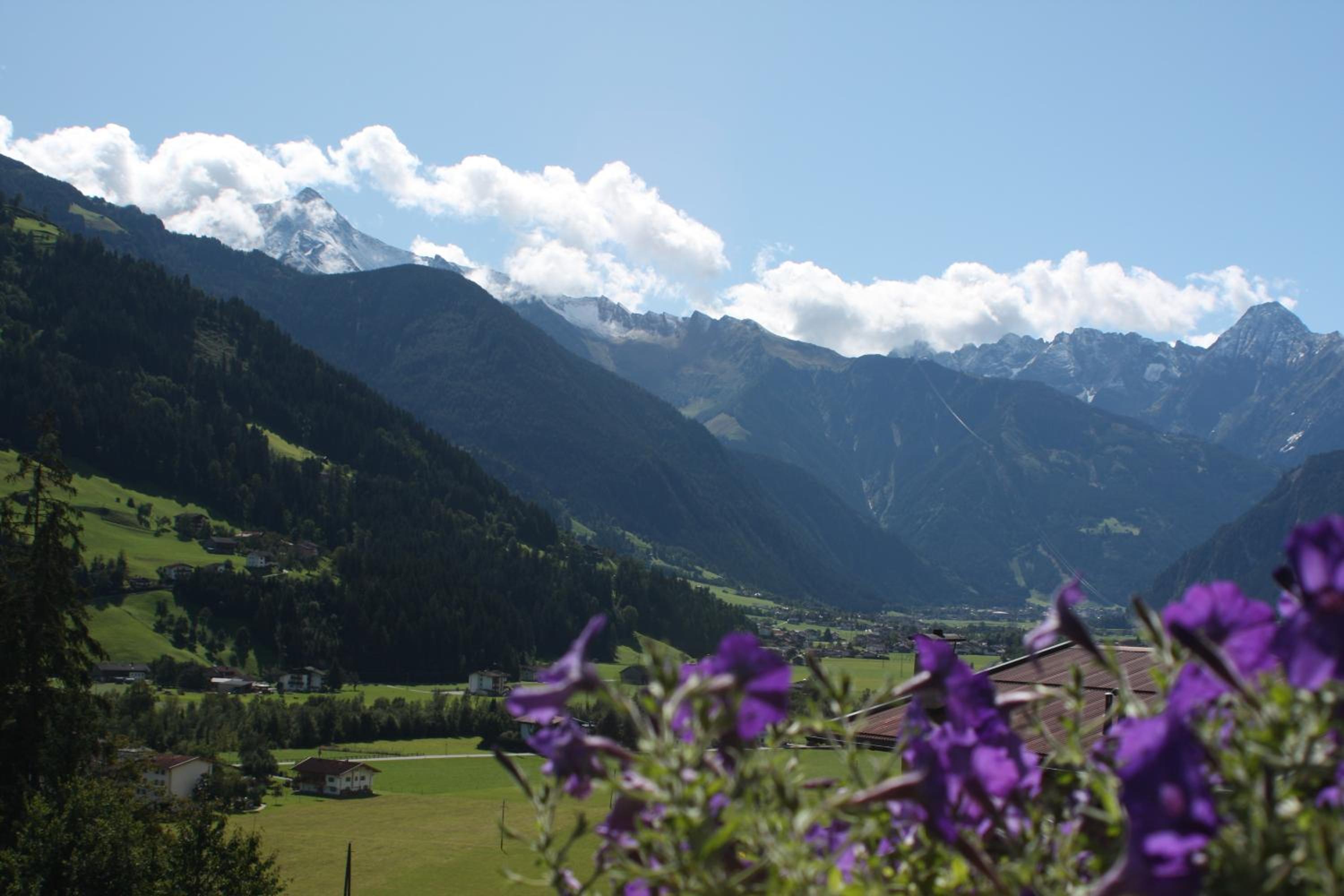 Photo 40