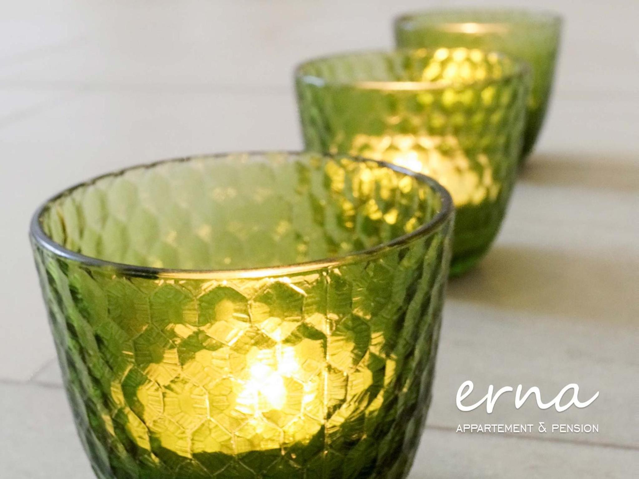 Pension Apartment Erna photo 5