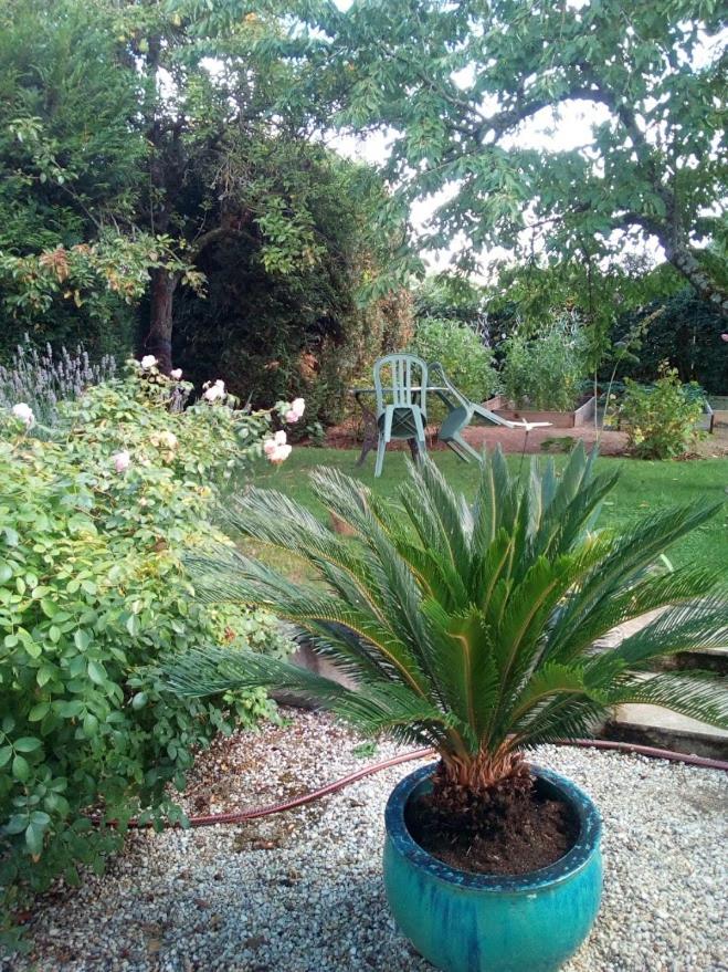 Photo 19