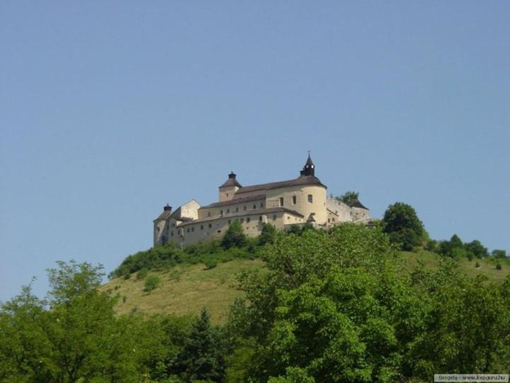 Photo 47