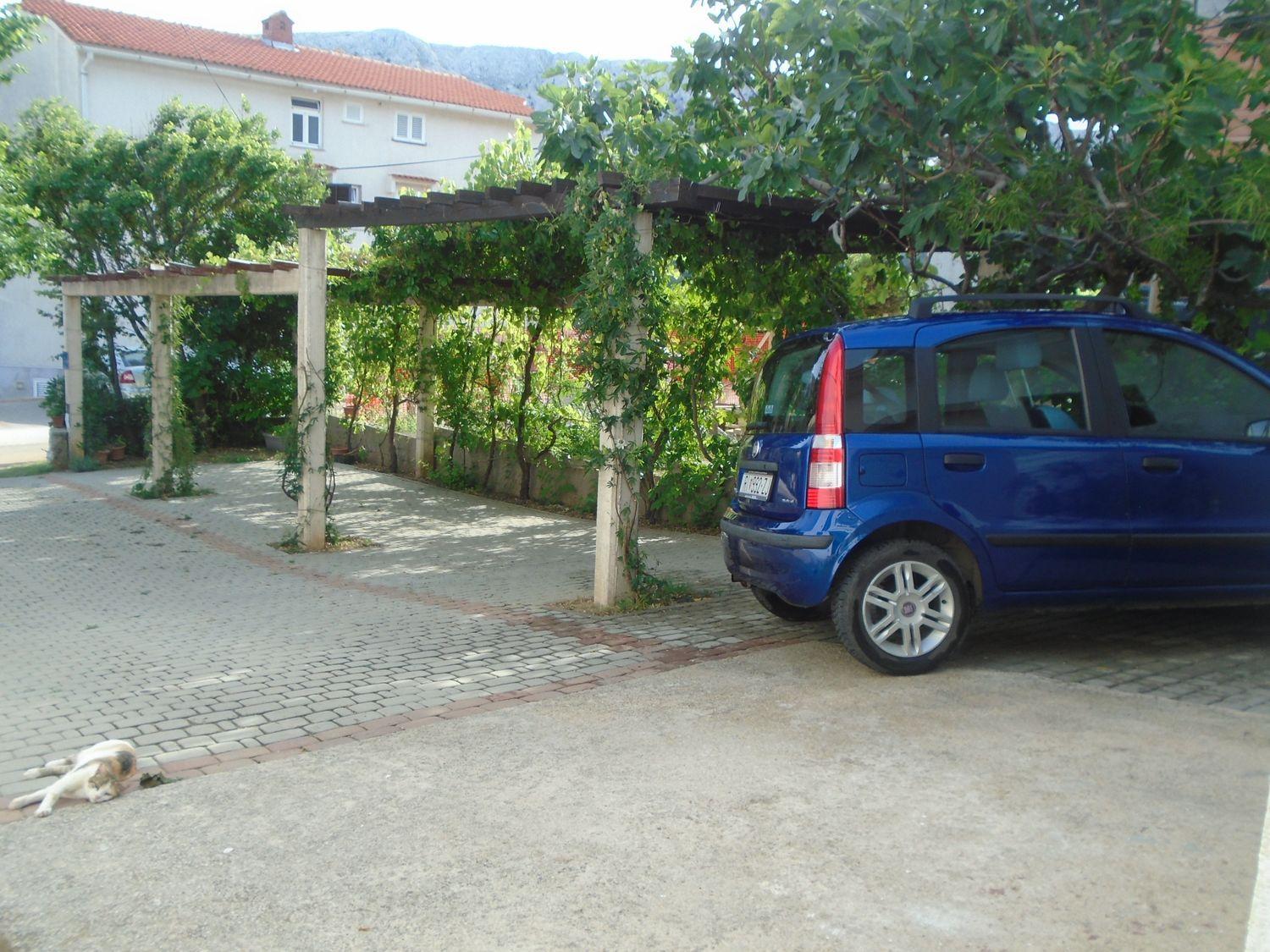 Photo 33