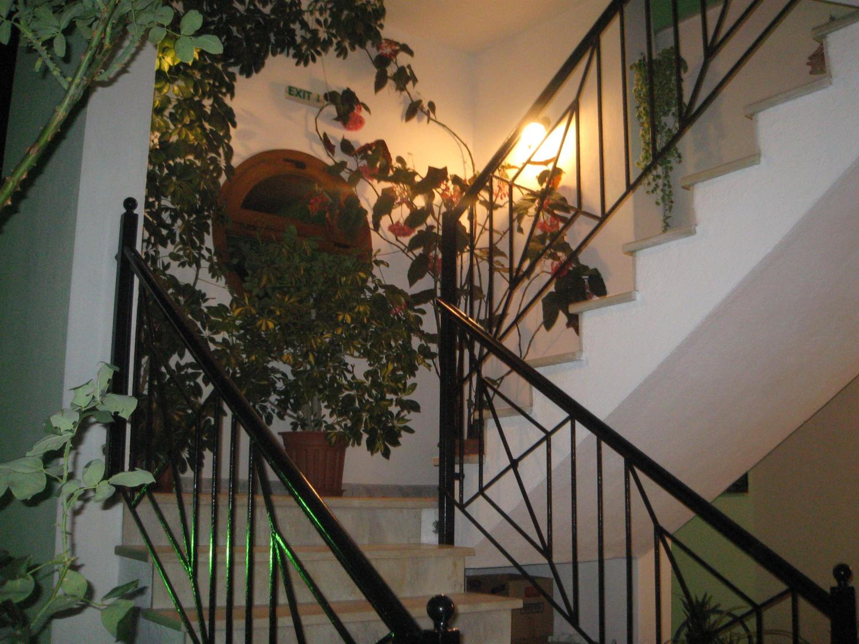 Photo 29