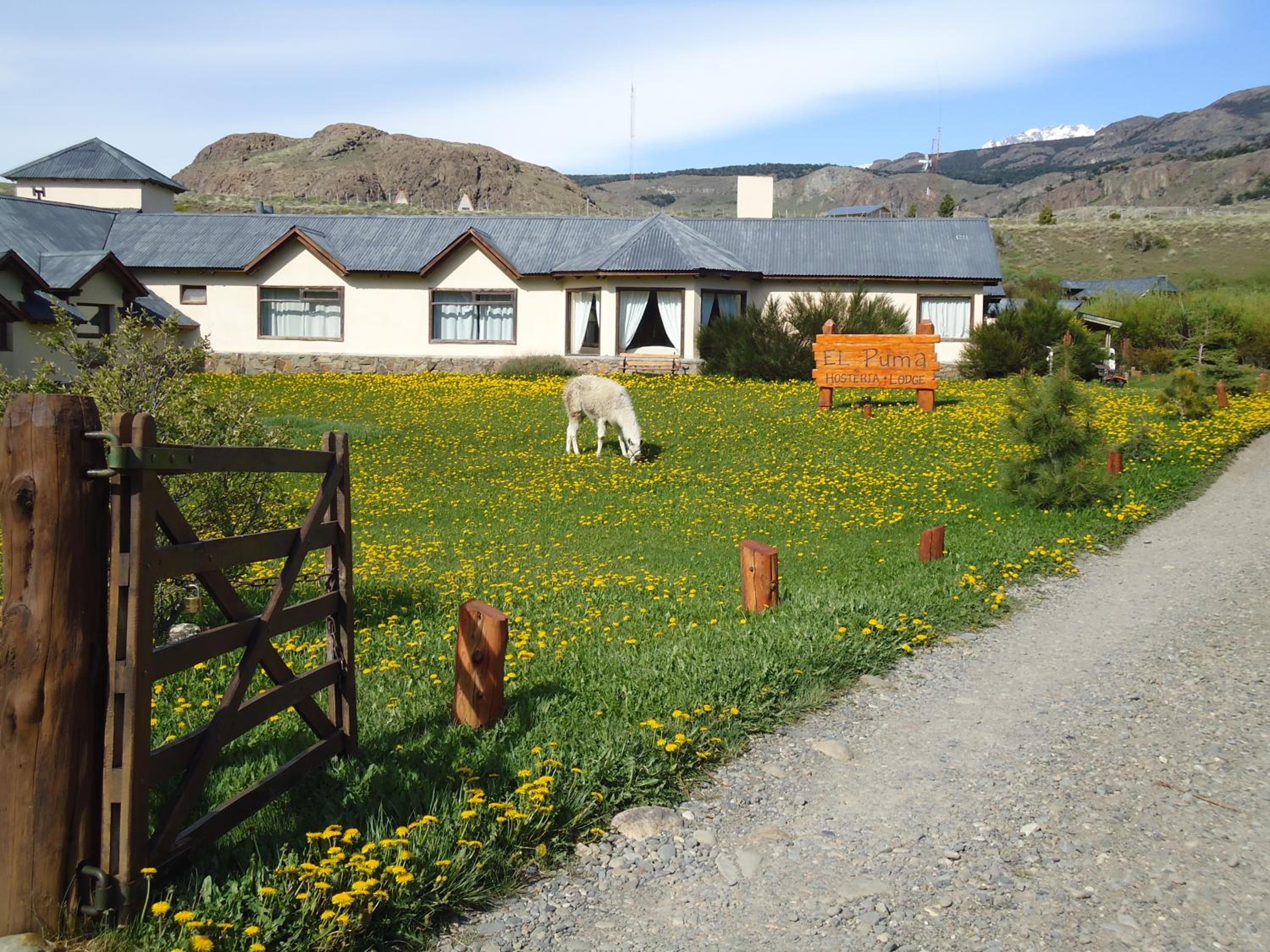 Hosteria El Puma
