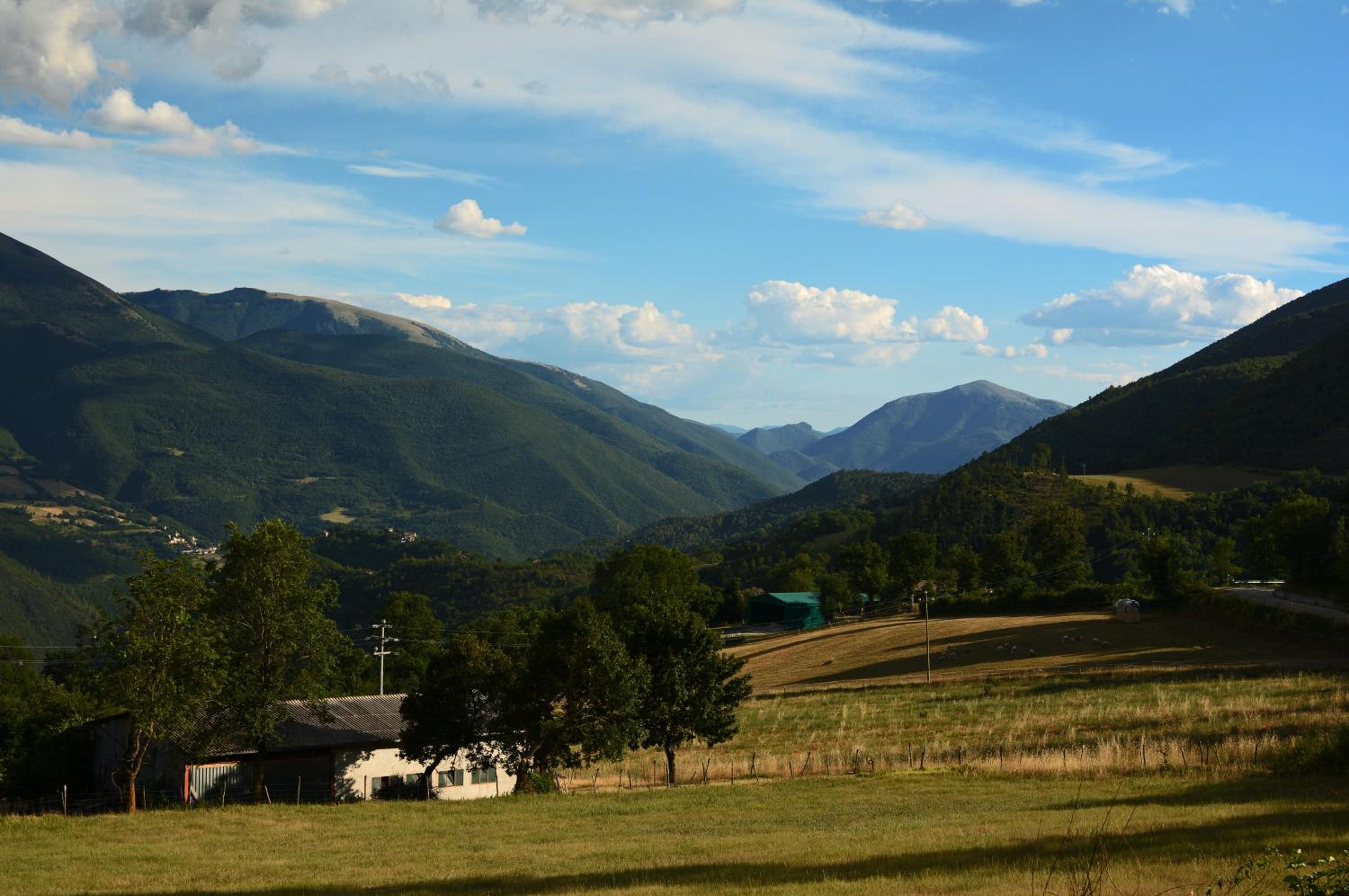 Agriturismo campagna in compagnia