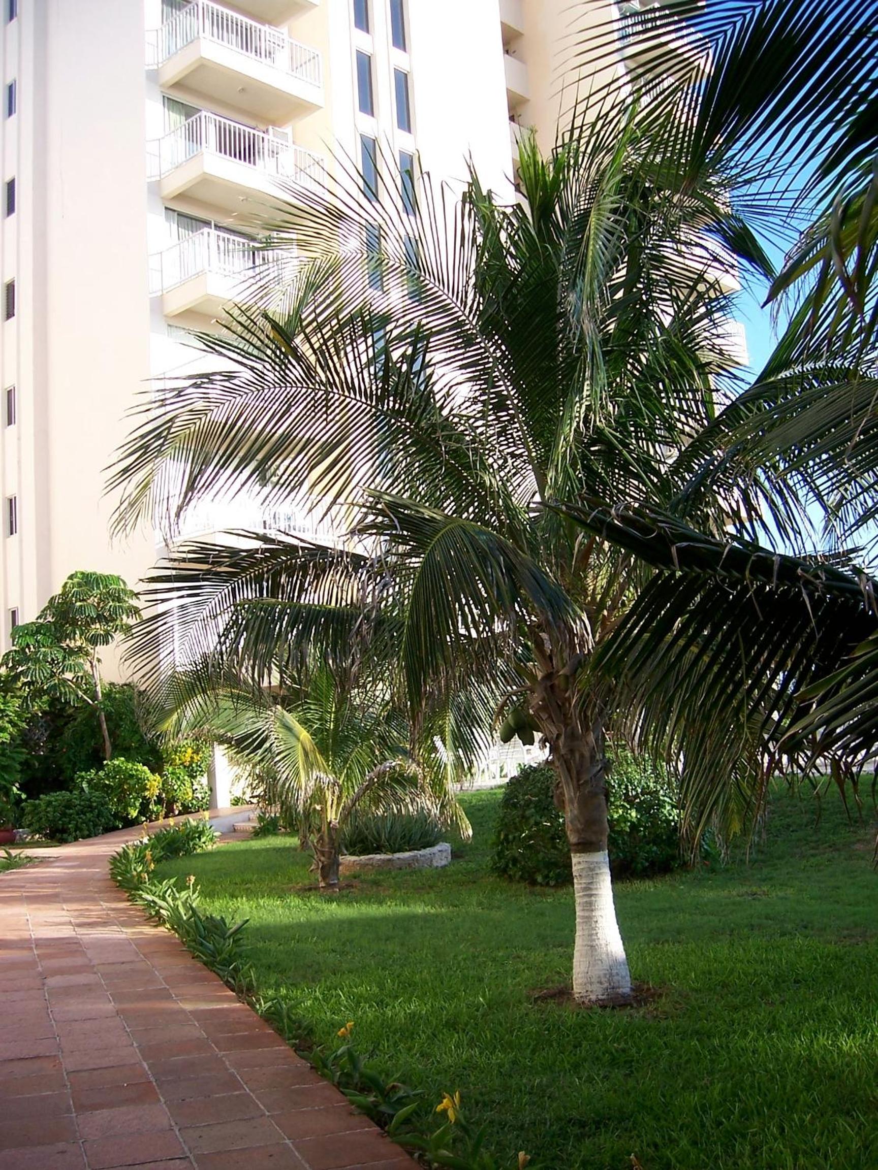 Salvia Cancun Aparts
