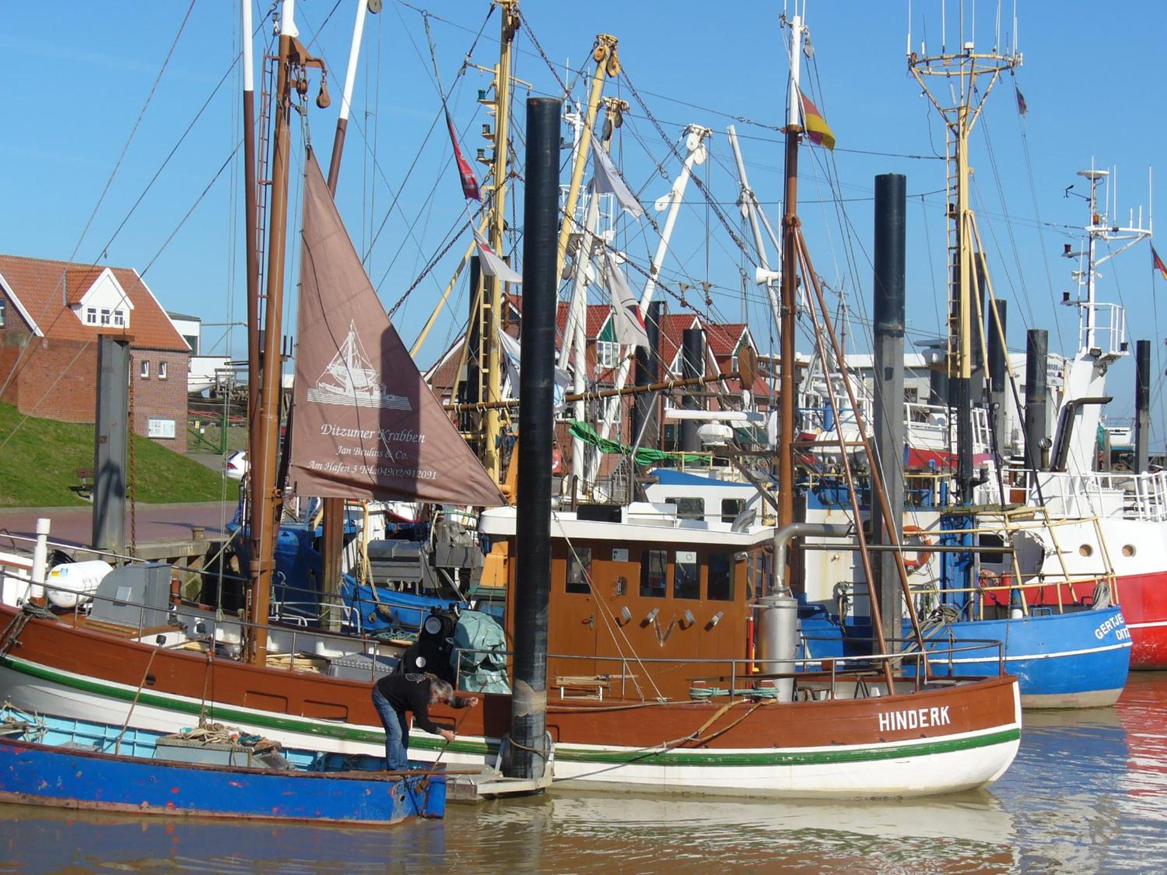 Vier Sterne am Hafen, Ditzum