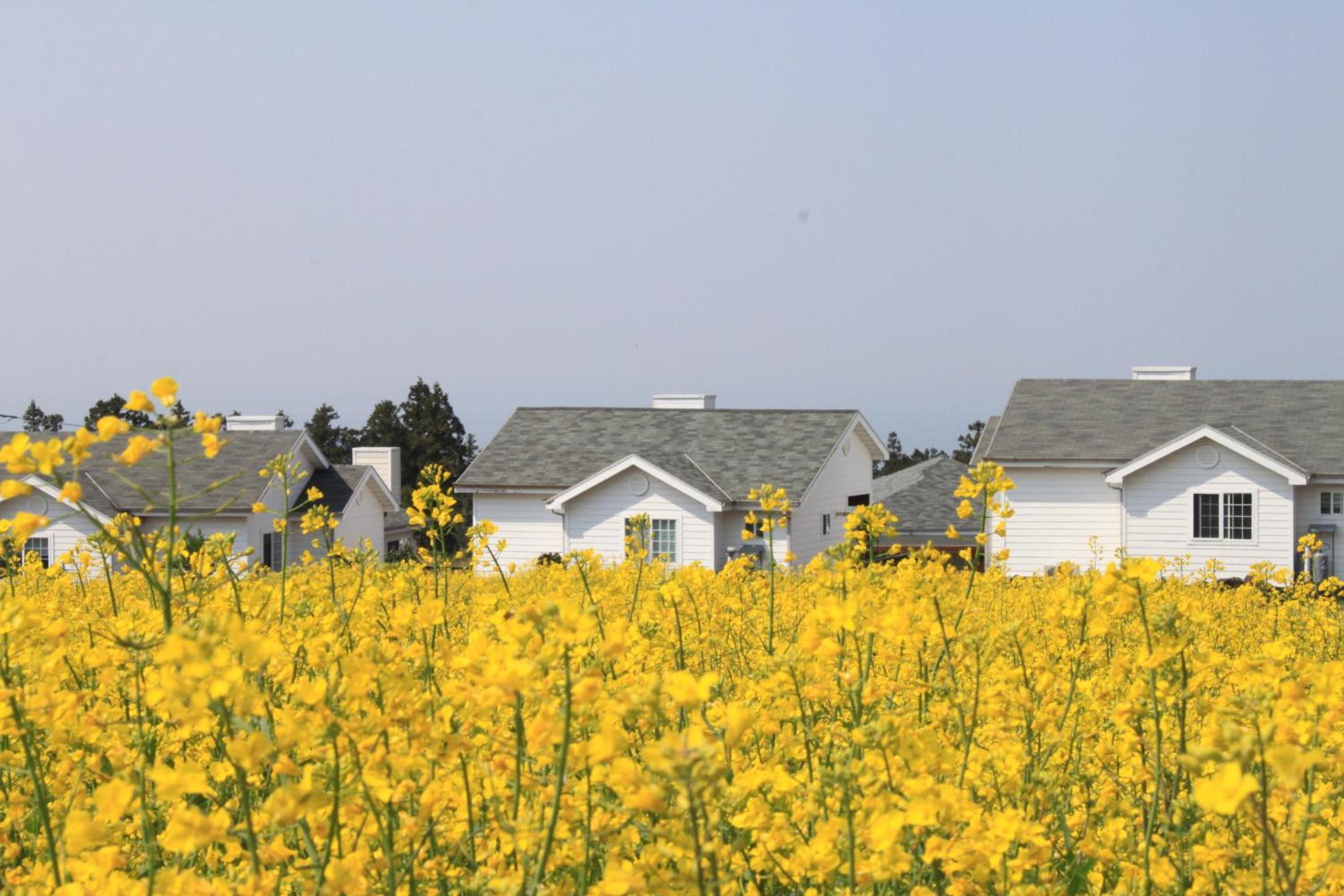 Jeju Skyline Pension