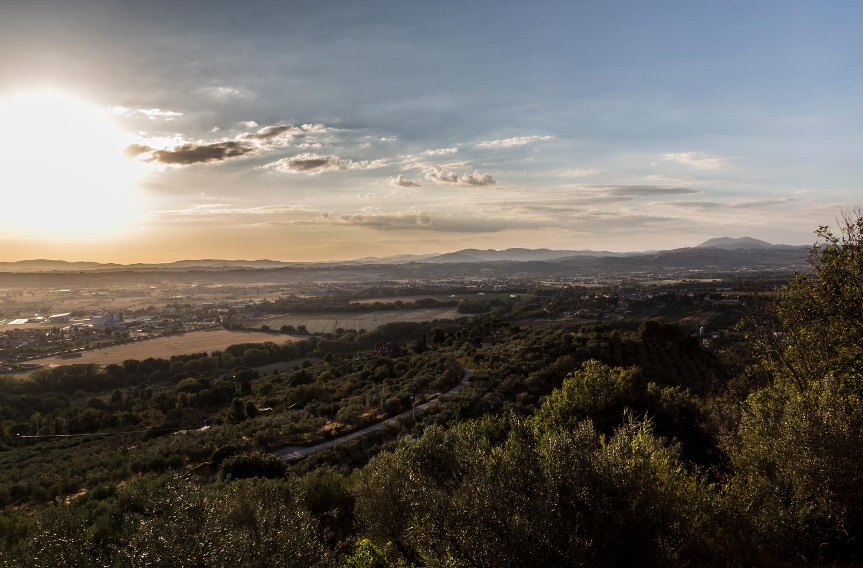 Il Poggio Delle Ginestre