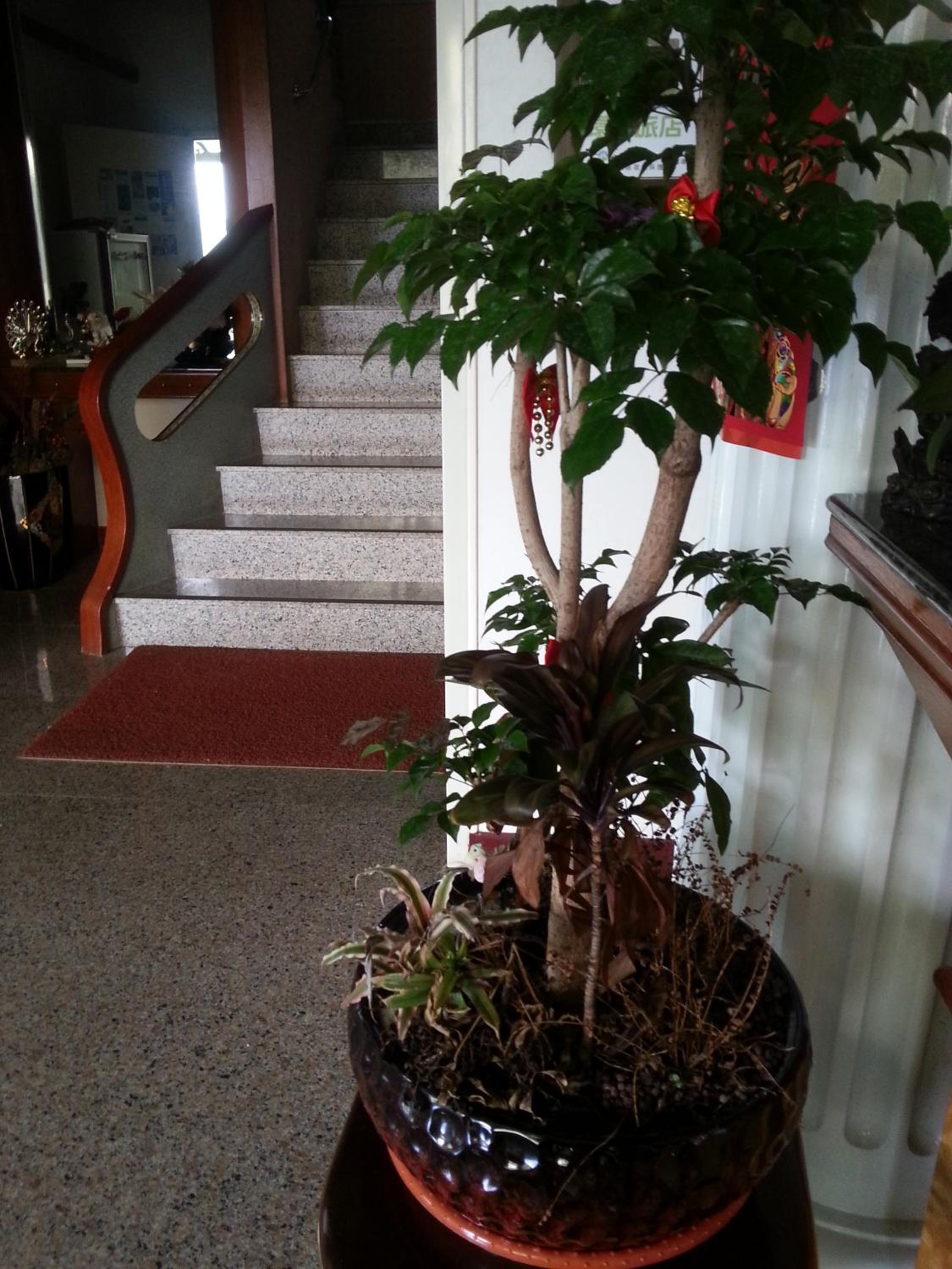 hotel reception