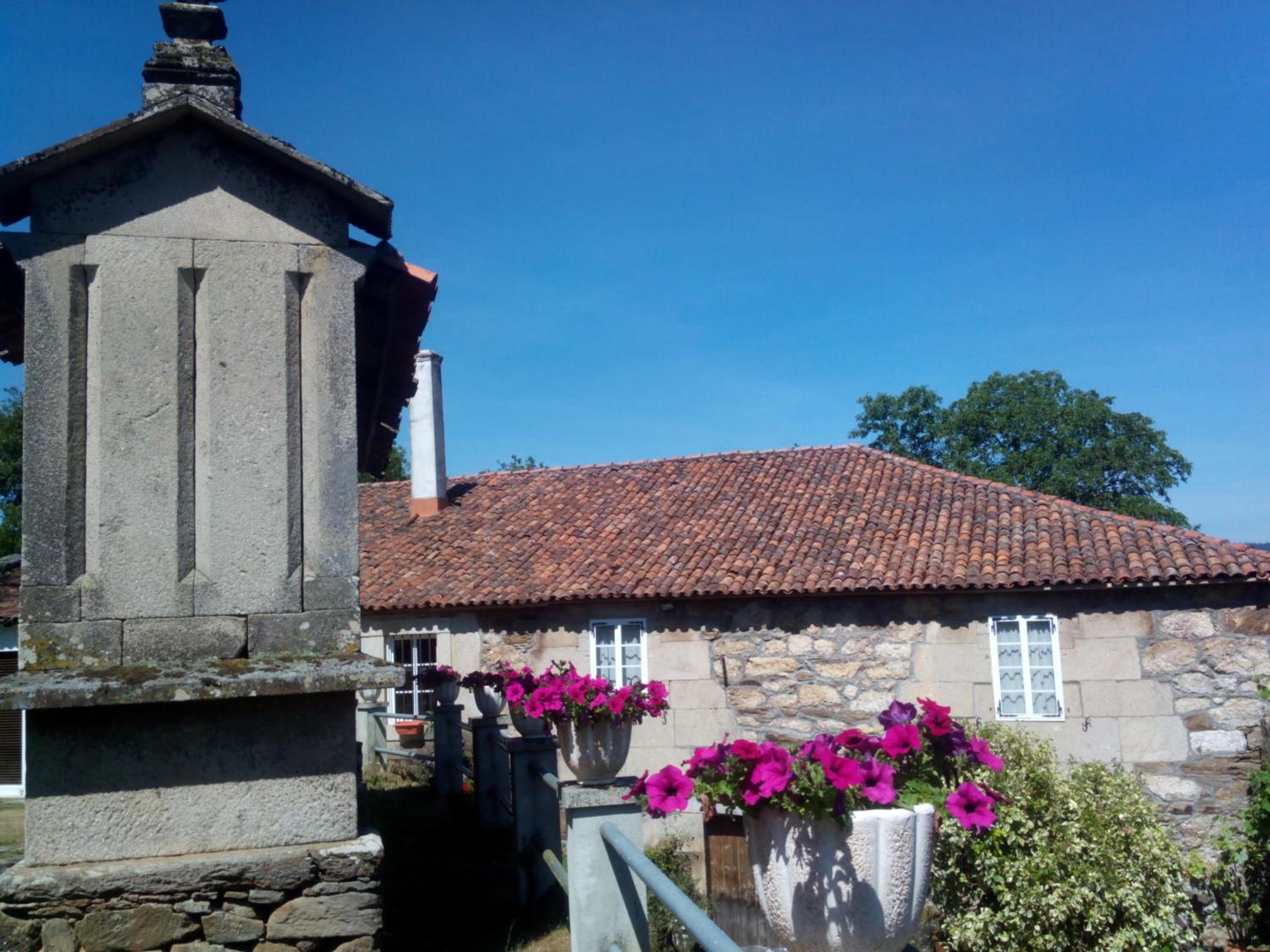 Casa Vixide