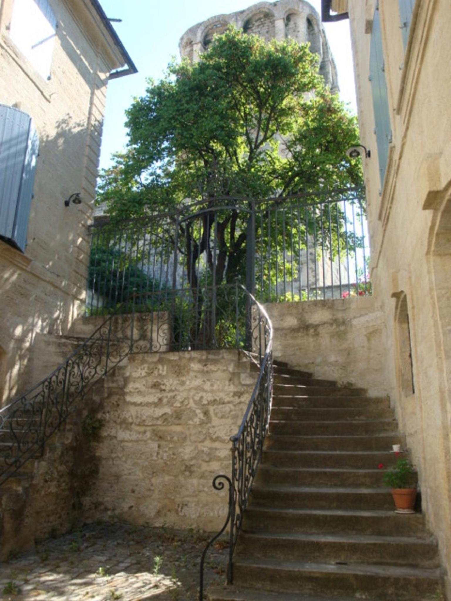 Photo 23