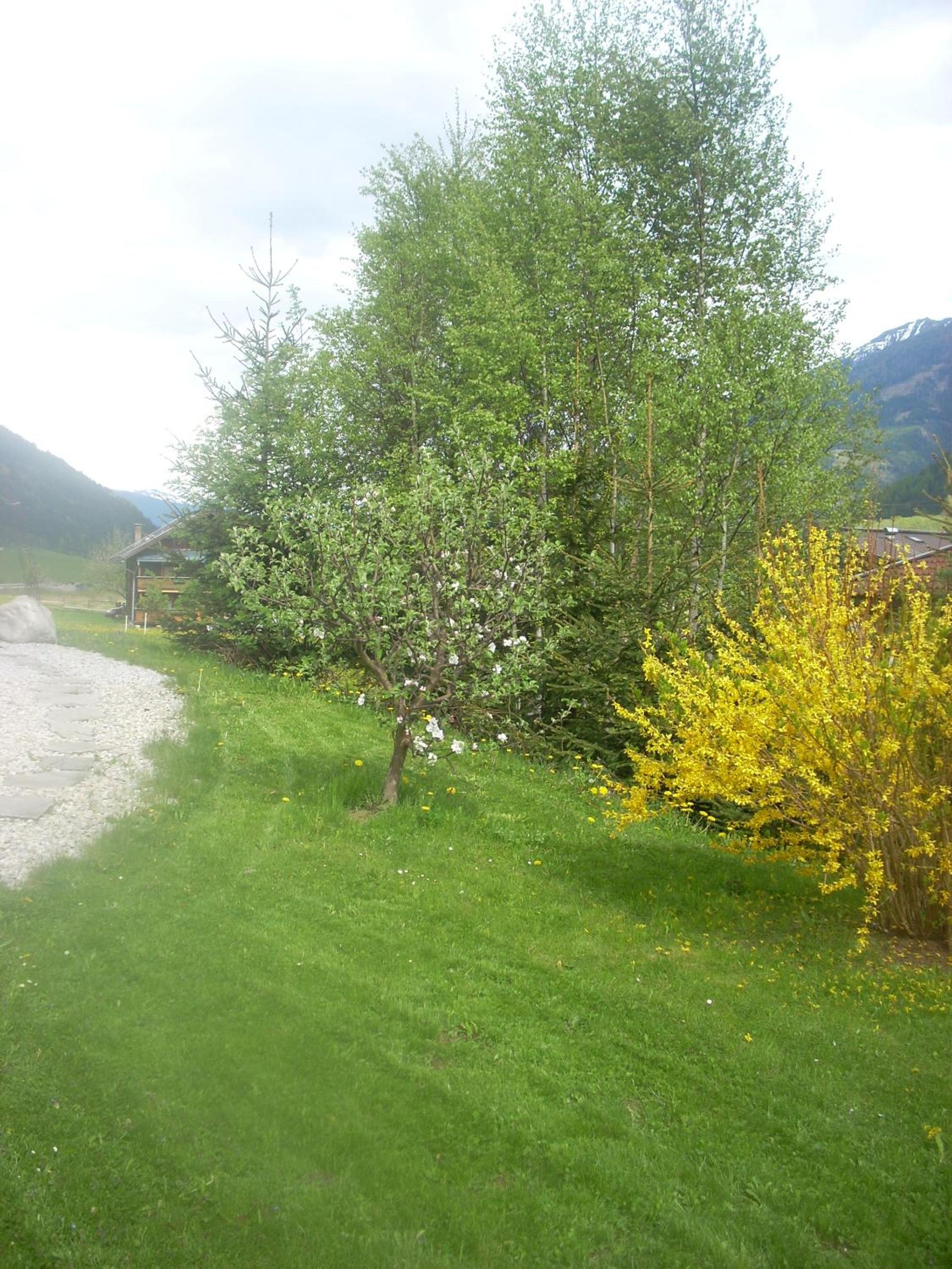 Photo 24