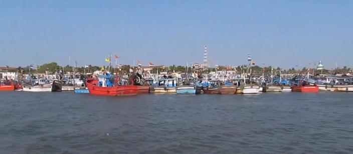 Photo 48