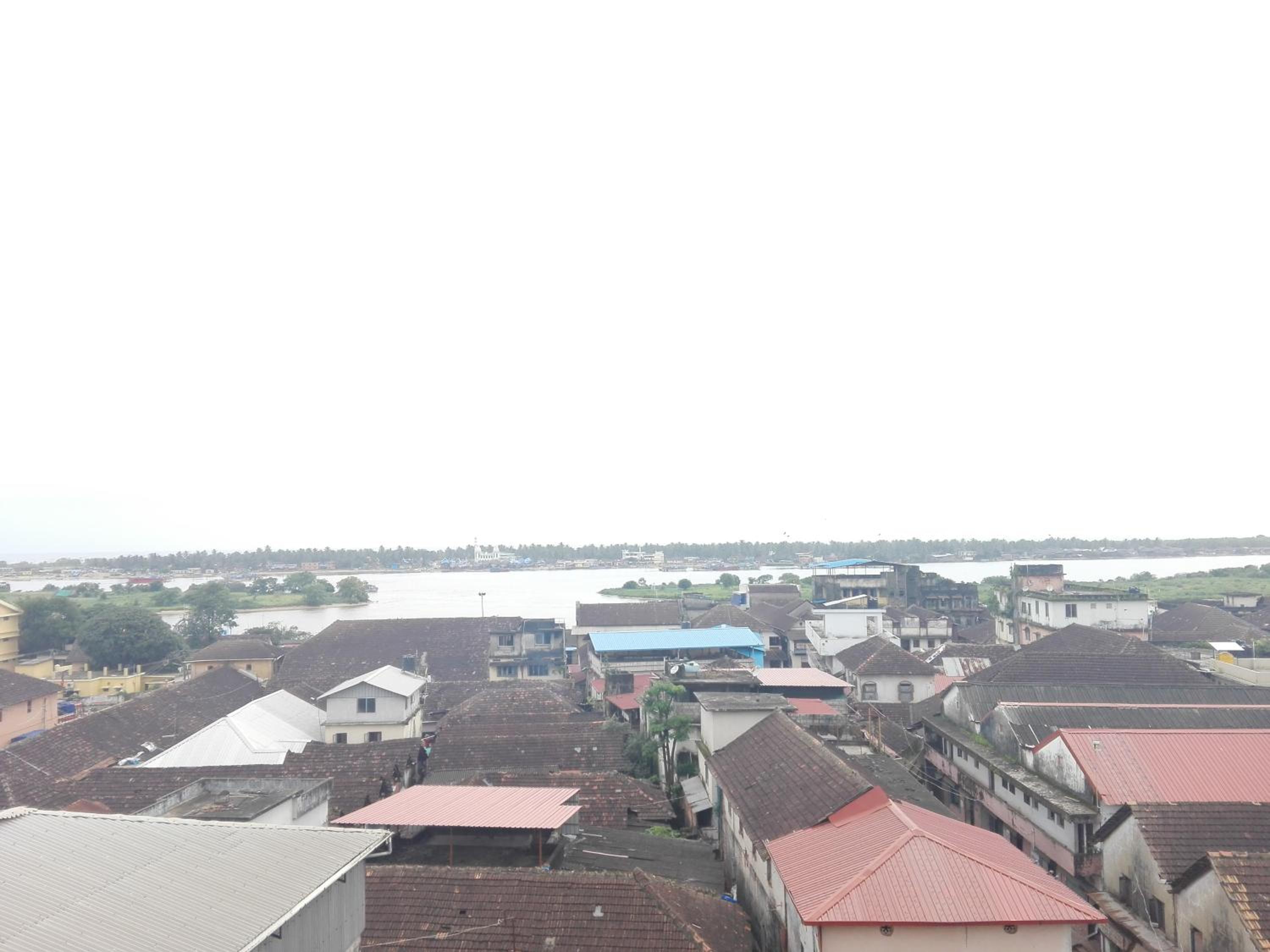 Photo 45