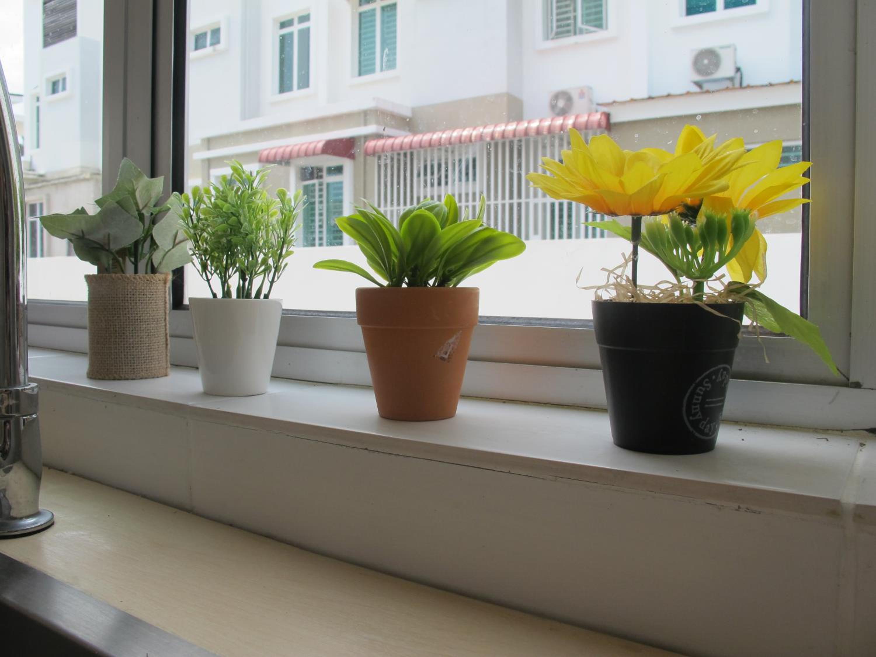 Properties Homestay, Balik Pulau photo 5