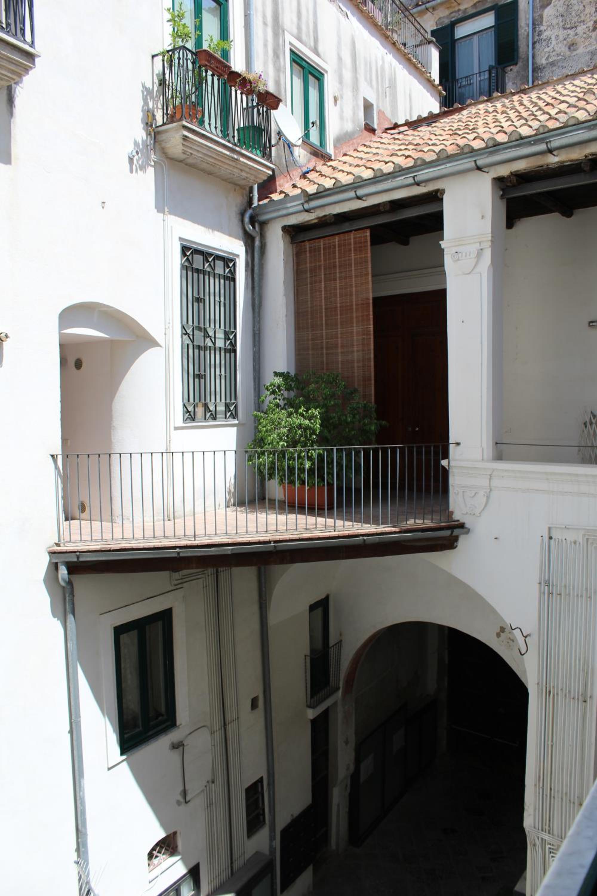 Arcadia 55 view 5