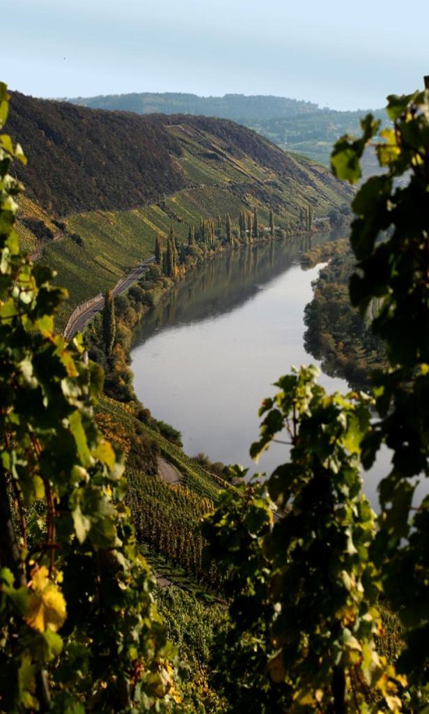 Ferienweingut Reh in Klüsserath