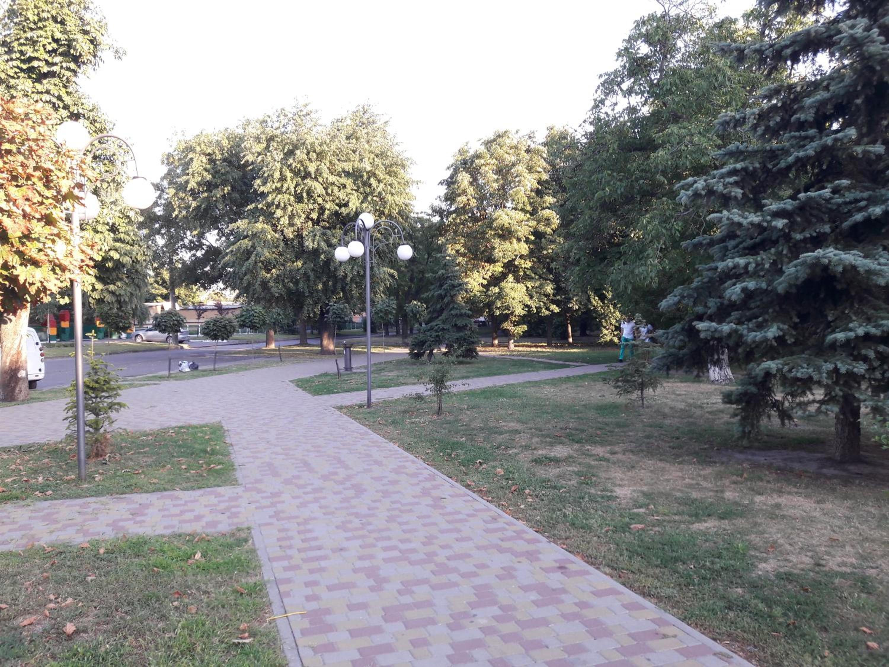Photo 11
