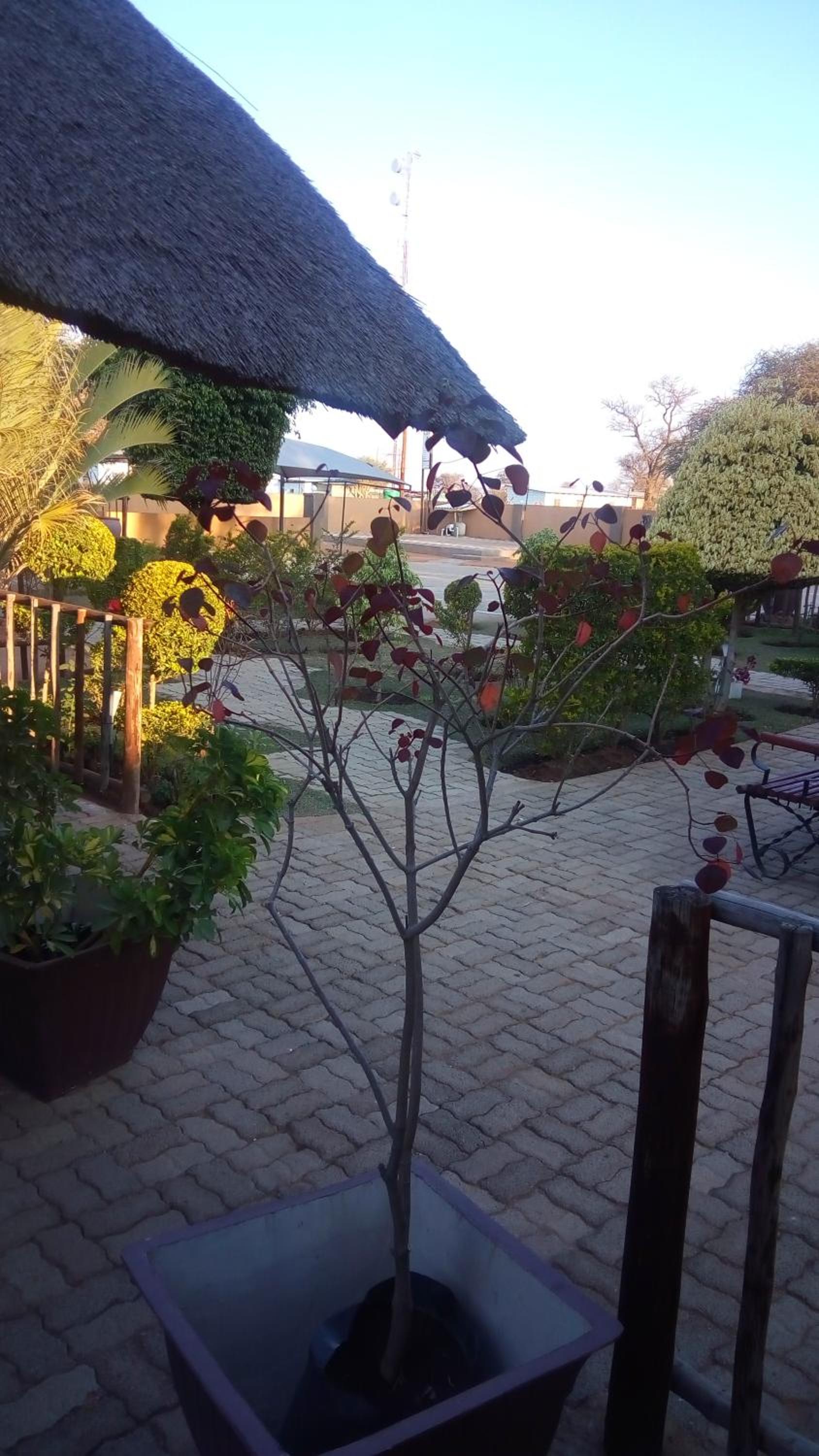 Thulamela Guest House Mahalapye