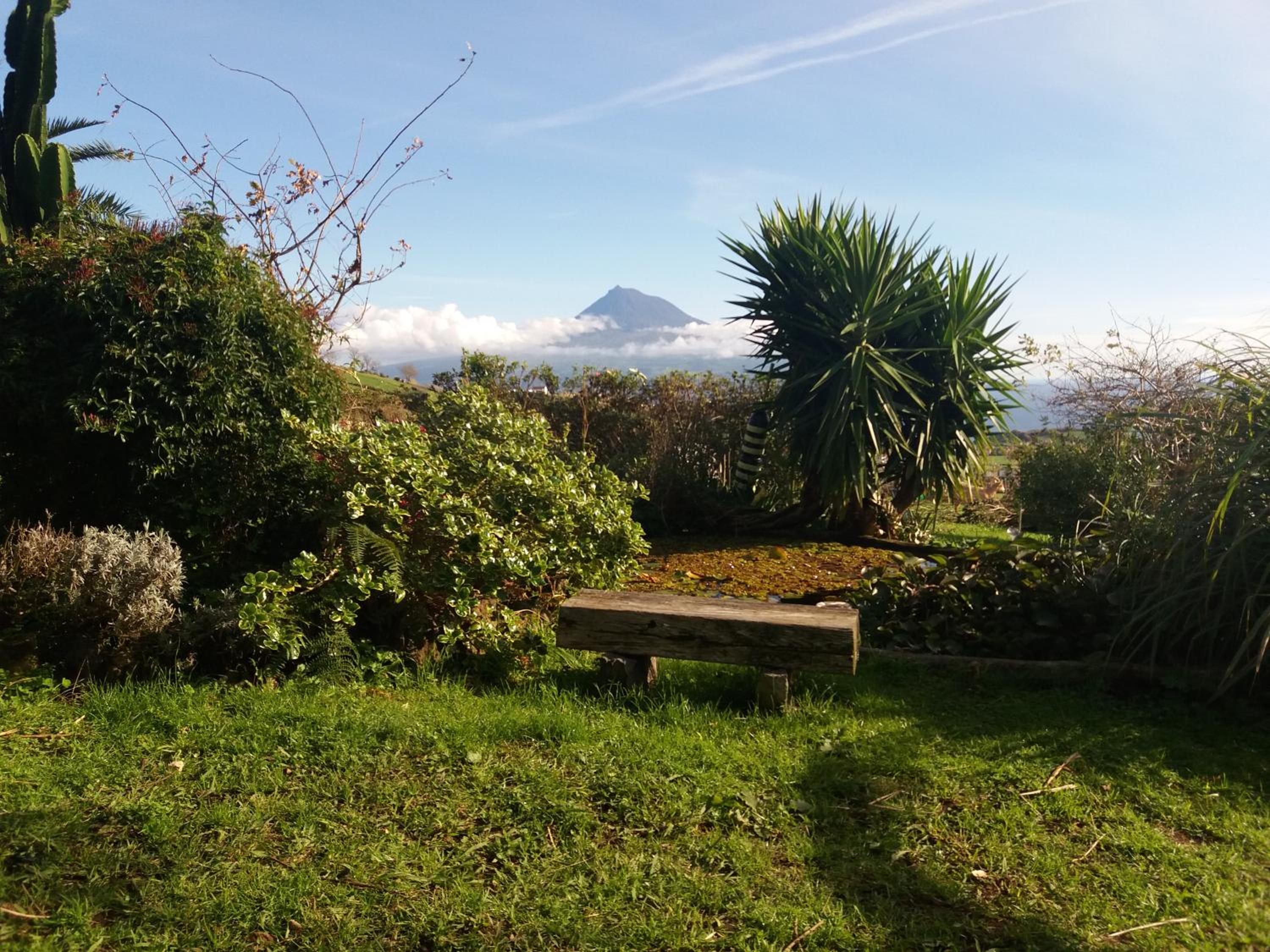 Casa Farrobo view 3