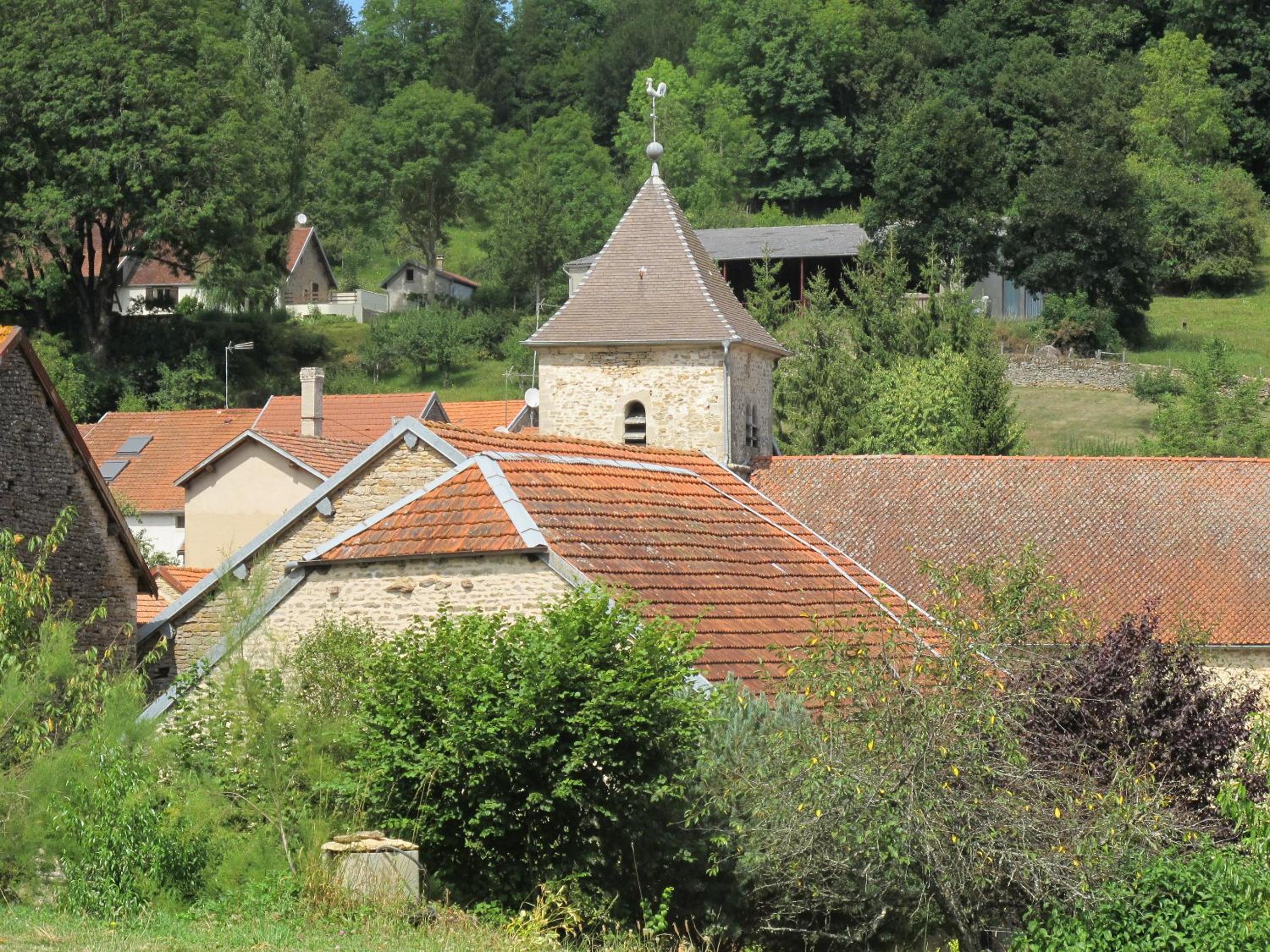 Photo 11