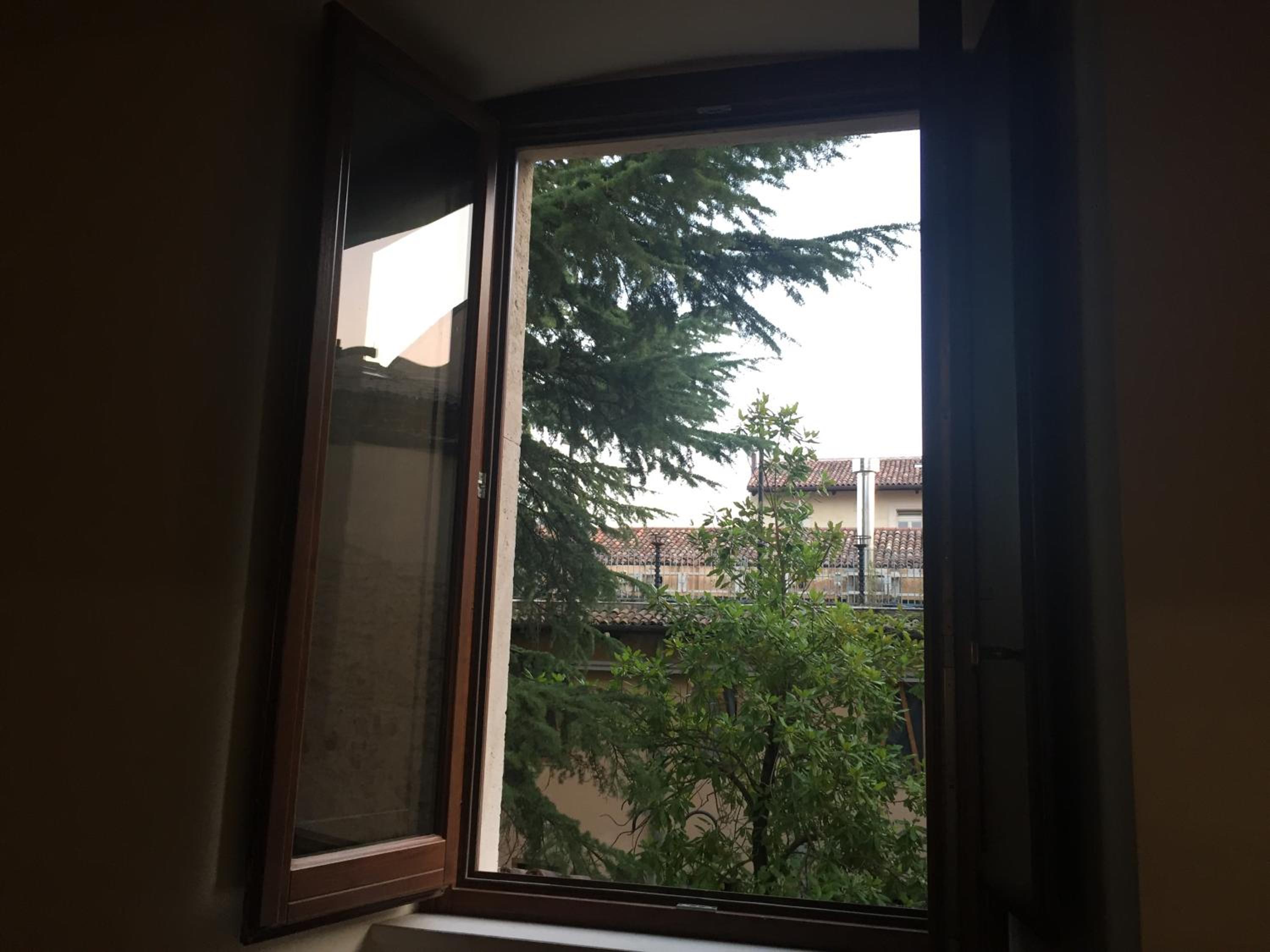 Photo 35