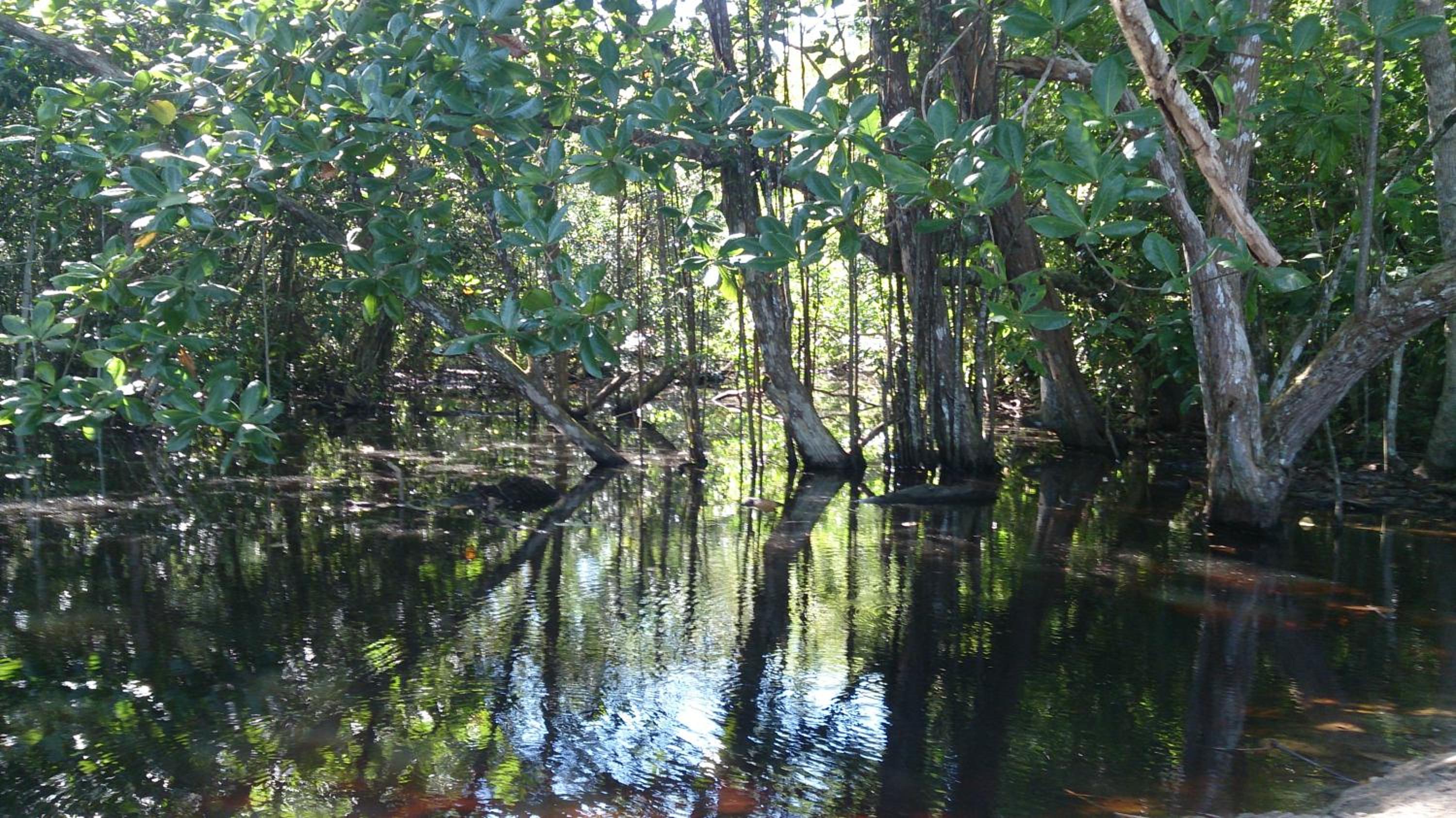 Casa Verde, Cahuita