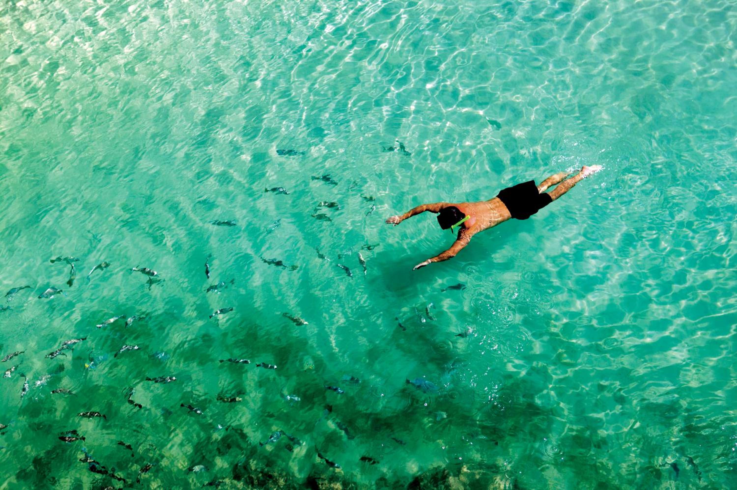 Occidental Cozumel - All Inclusive - Property Image 15