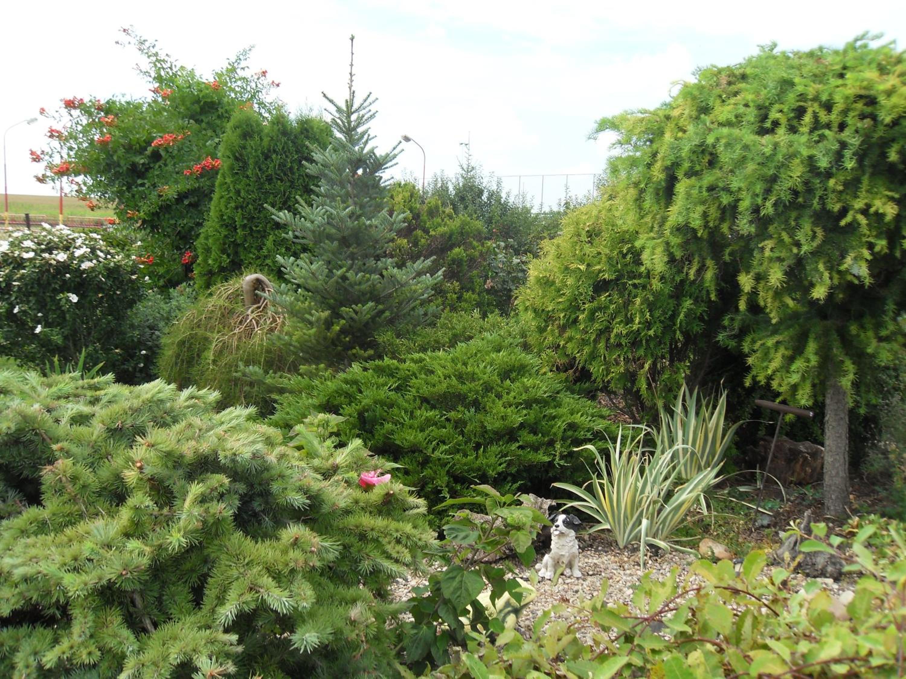 Photo 21