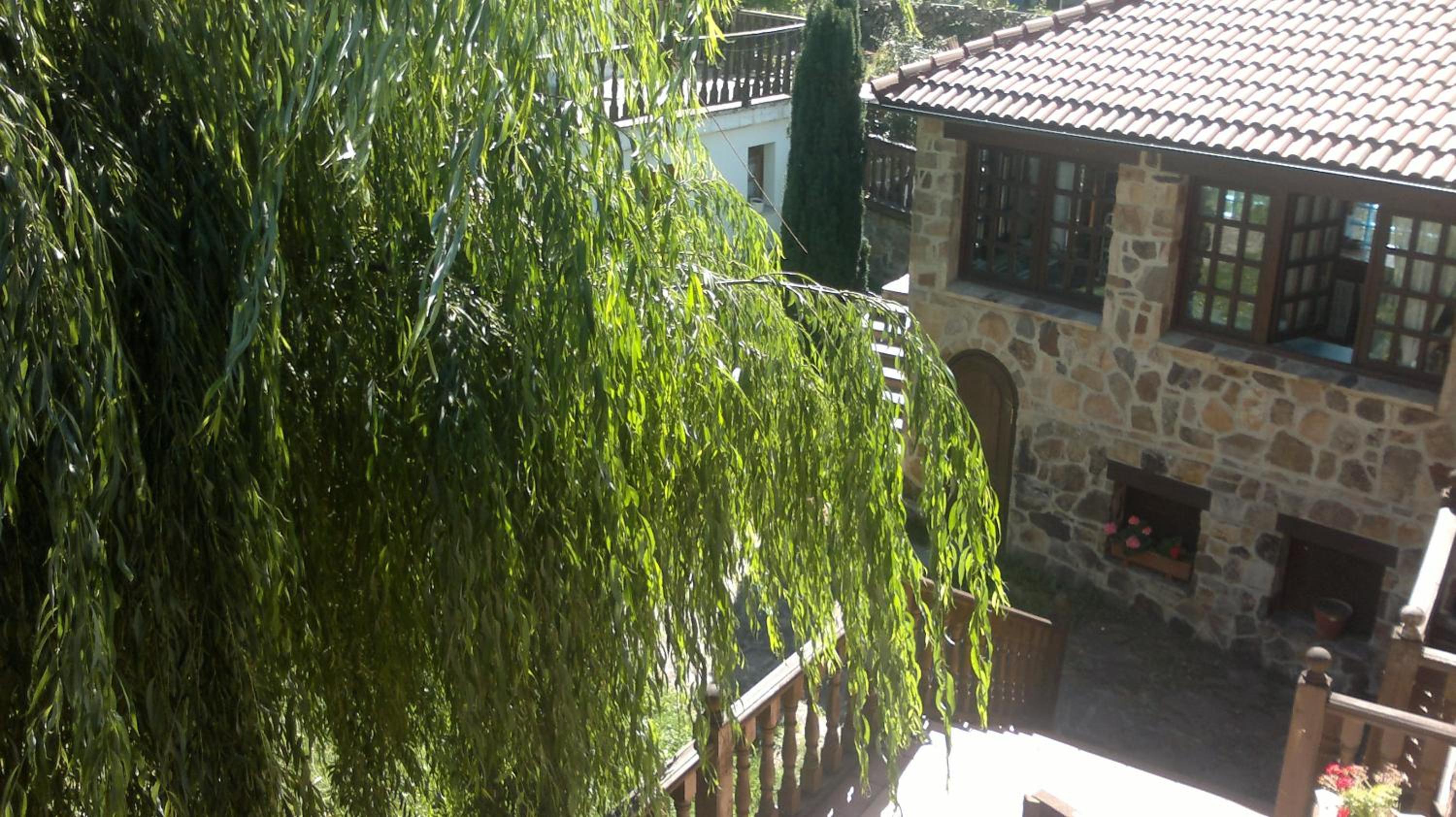 Photo 22