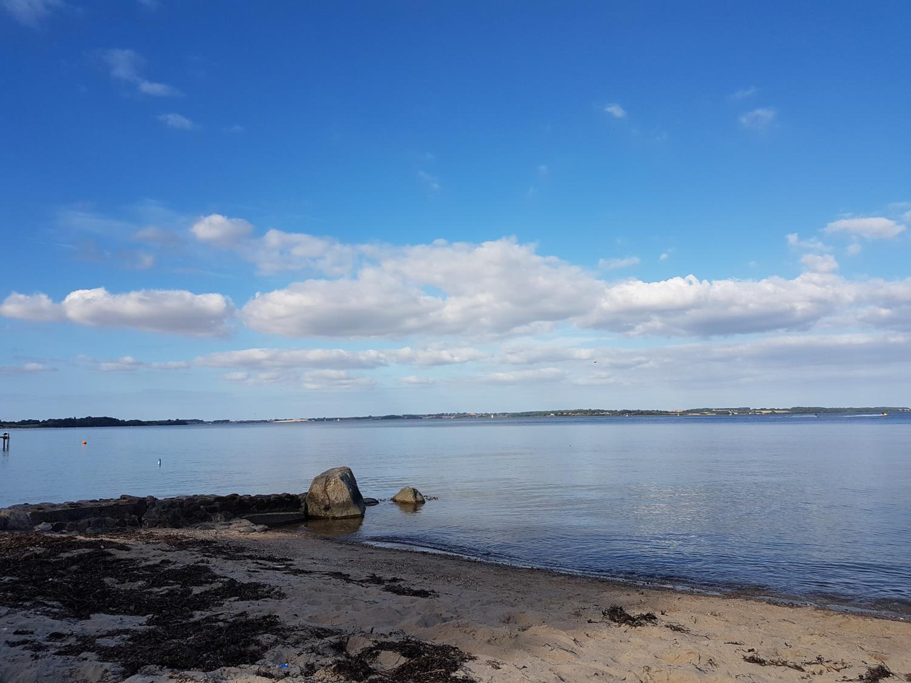 Ostsehbutzen view 4