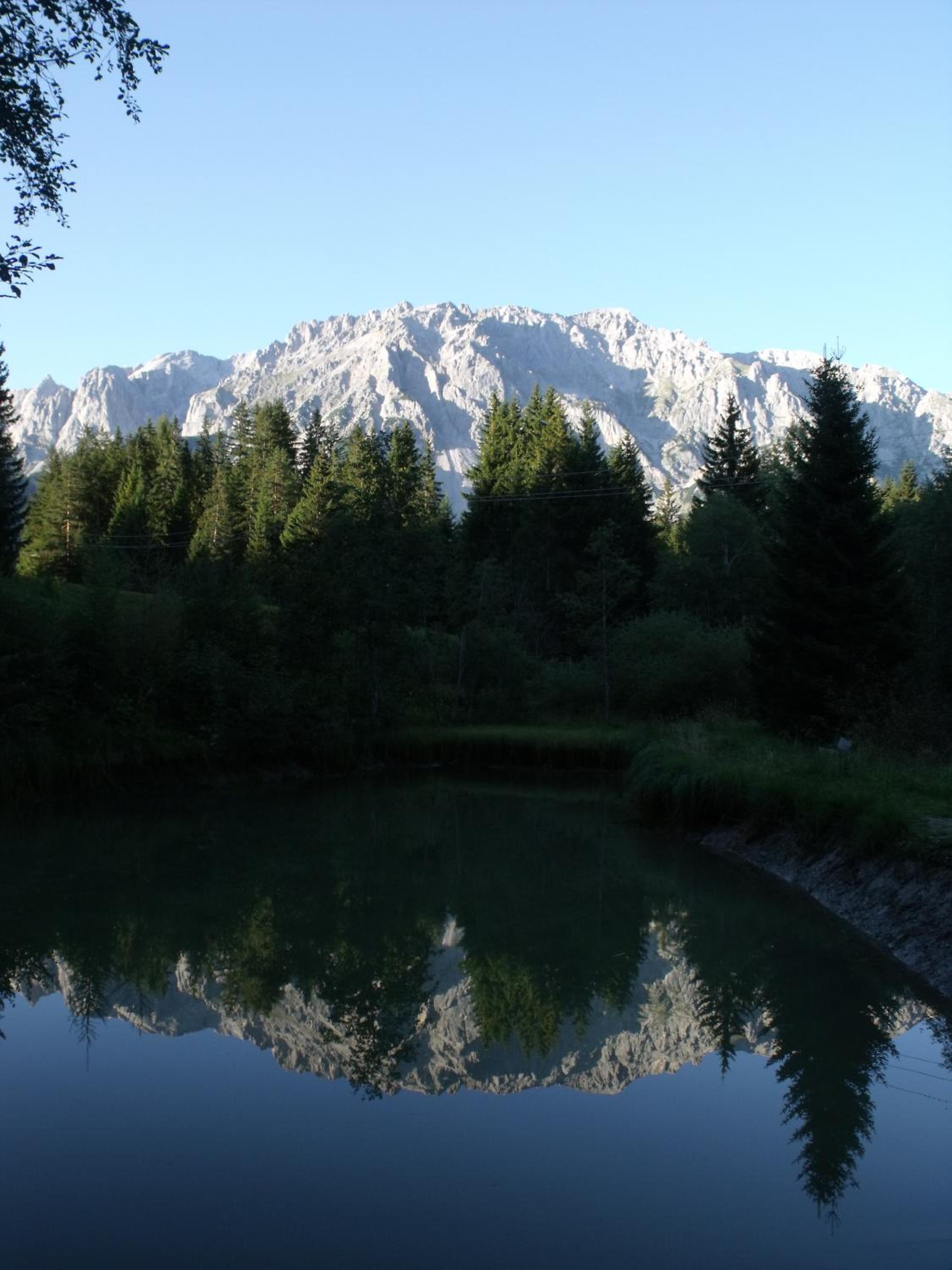 Photo 17
