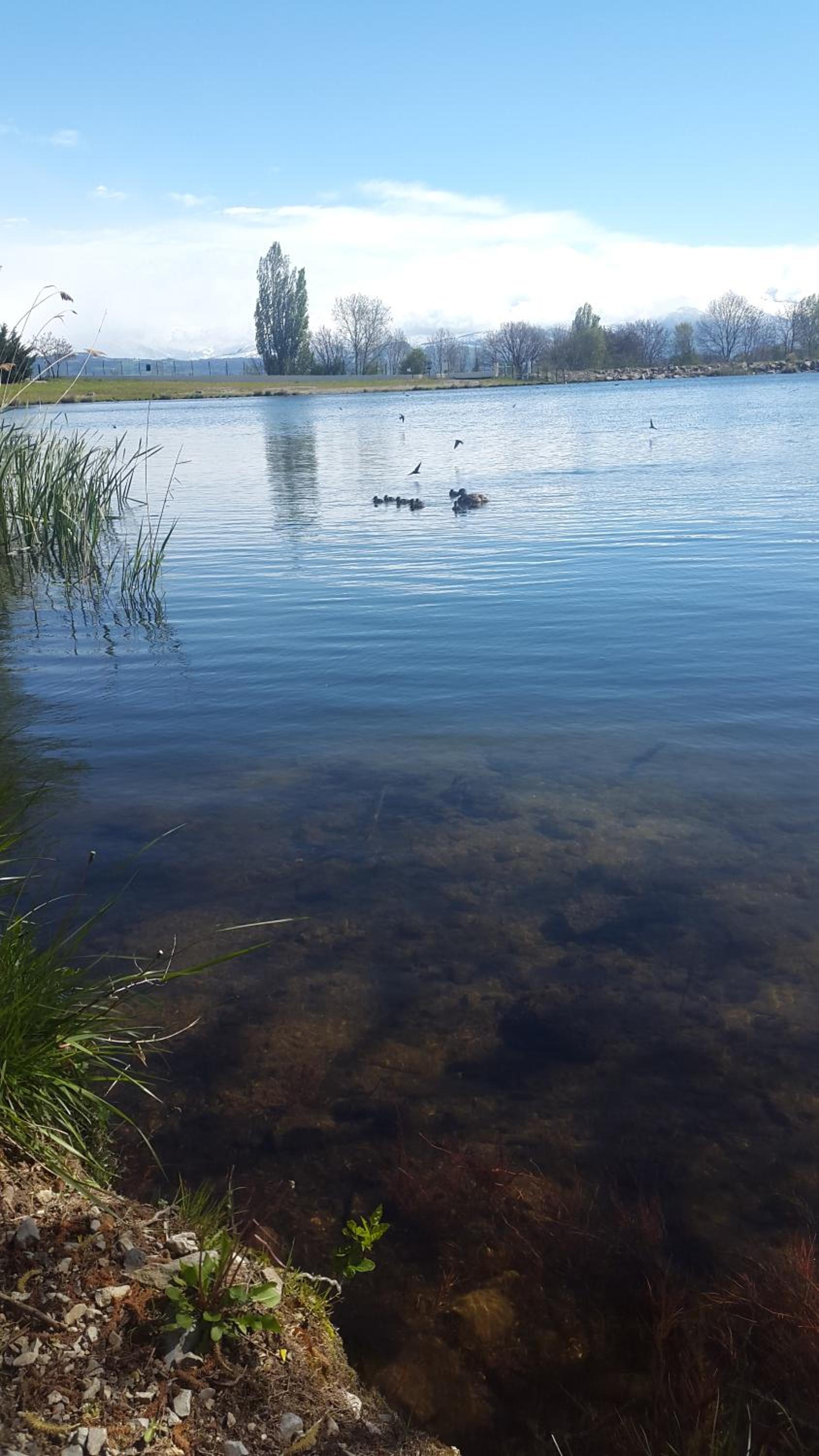 Photo 41