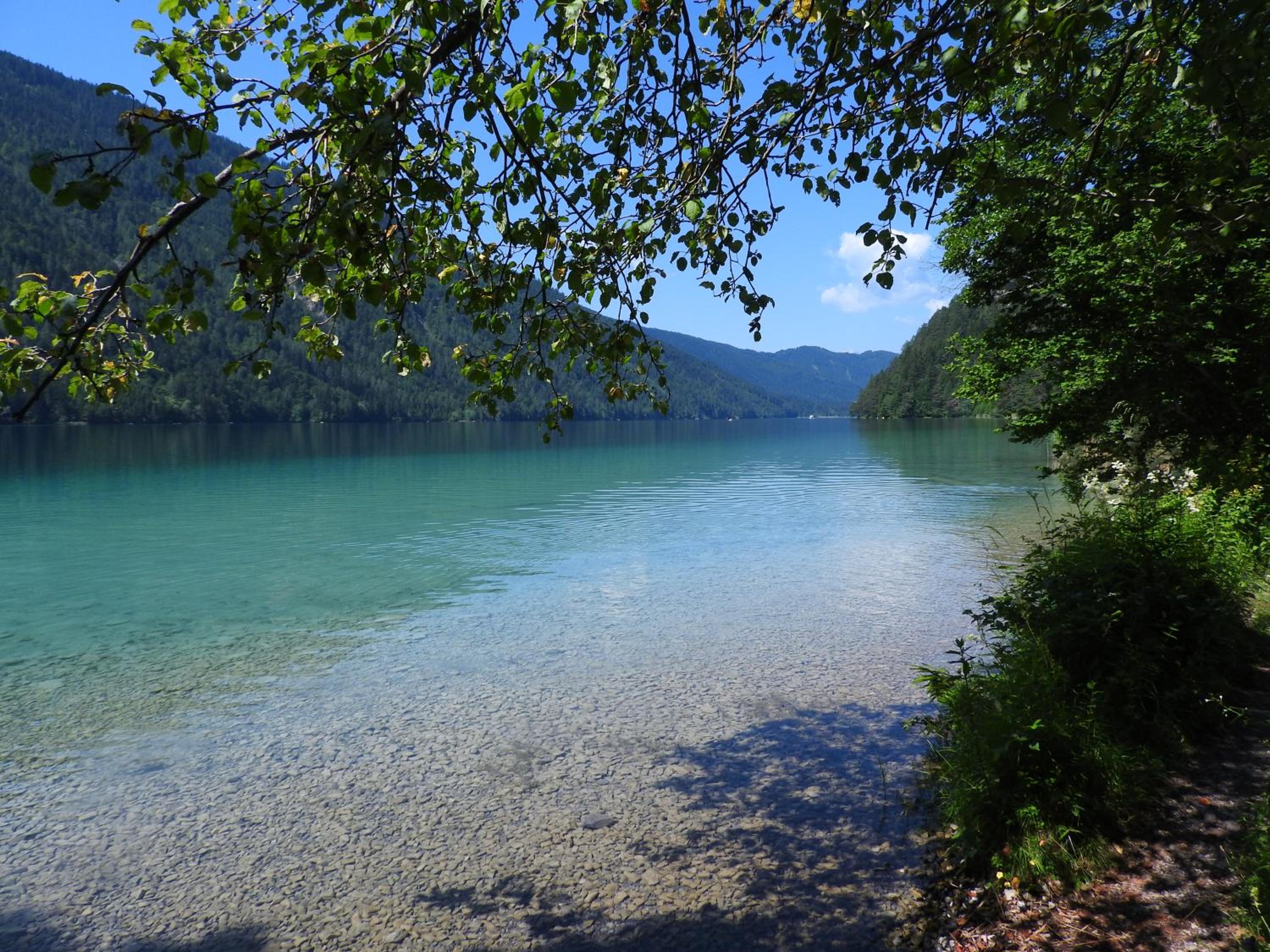 Photo 17