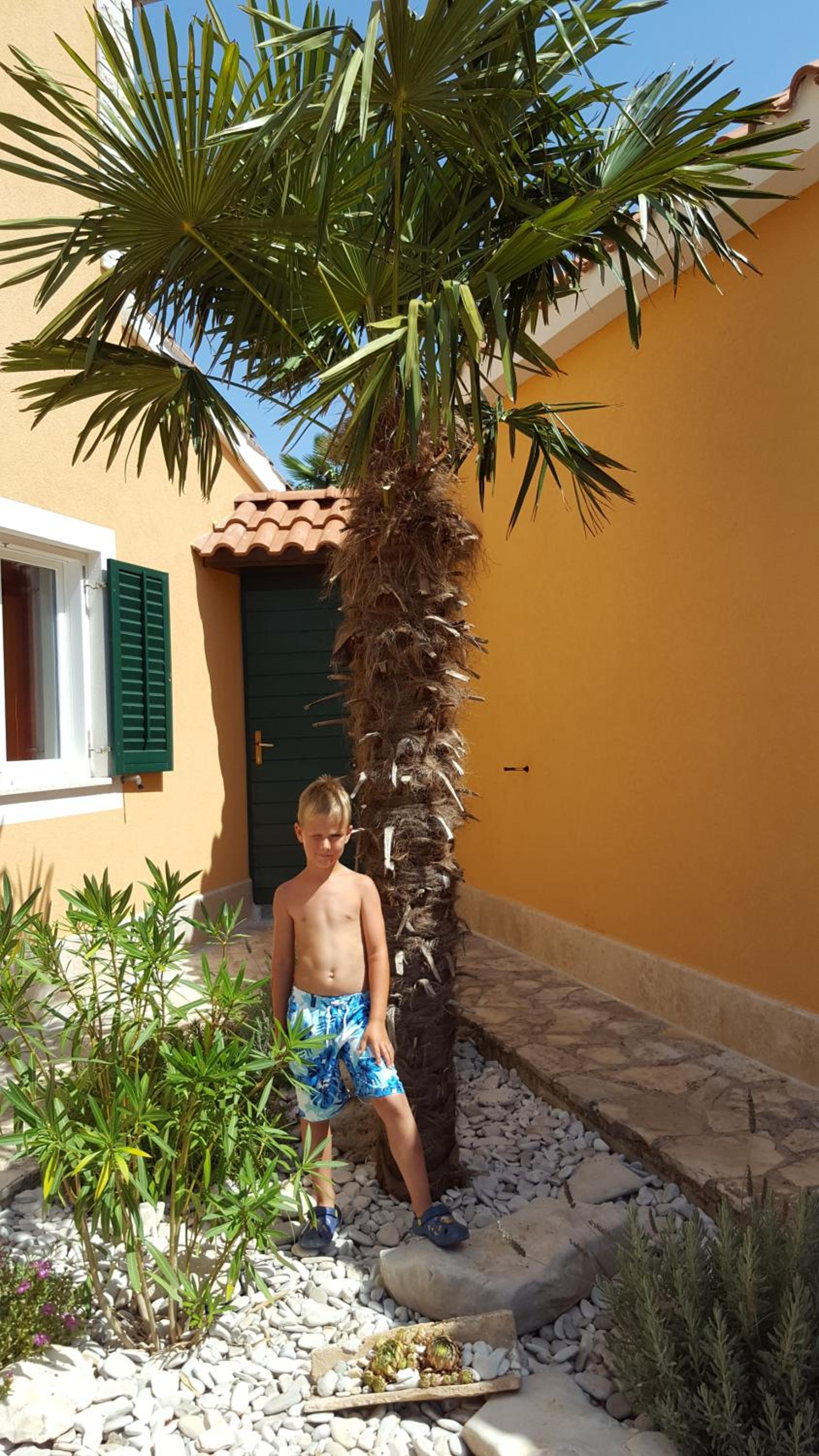 Casa Susanna view 3