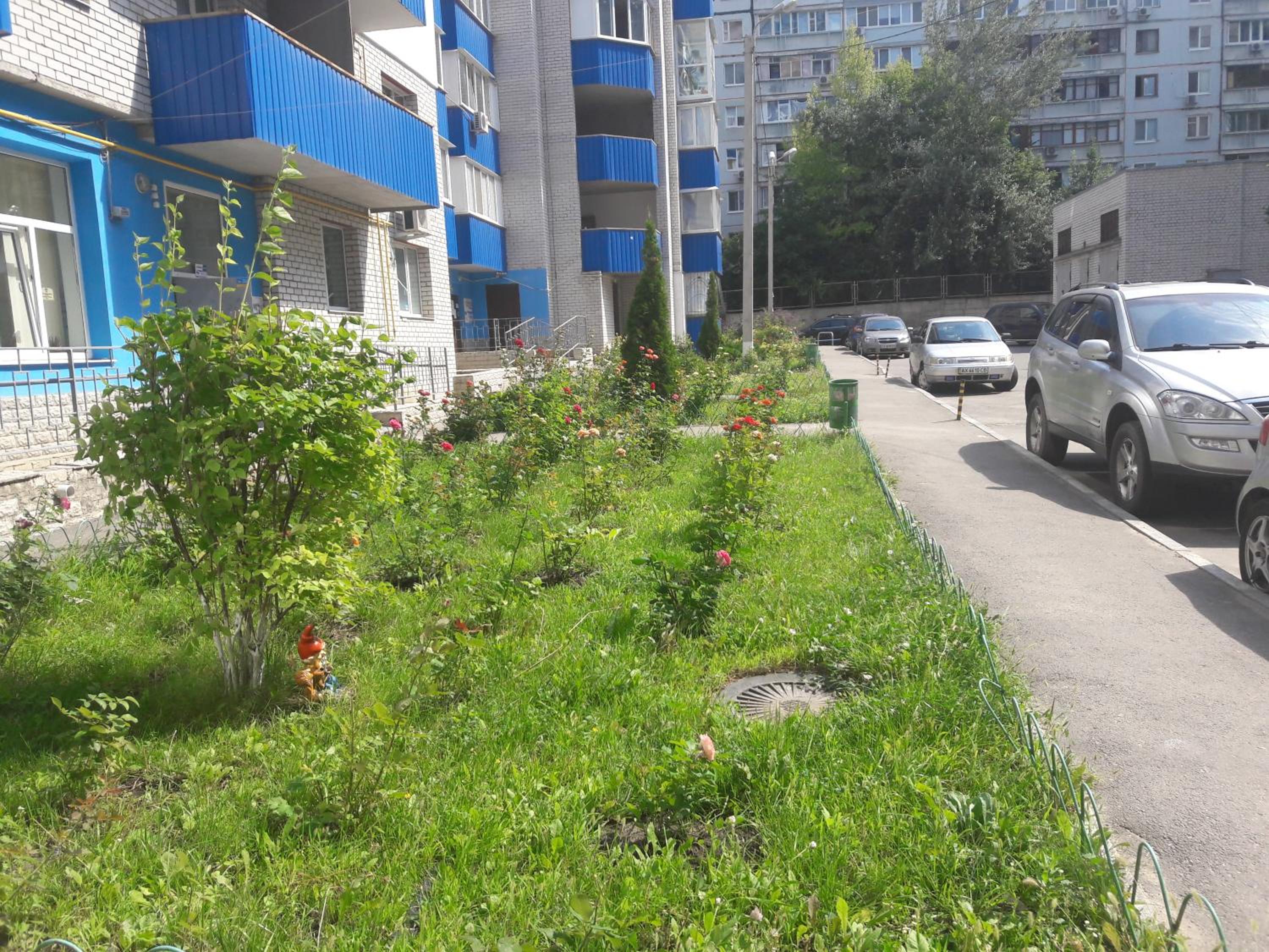 Photo 29