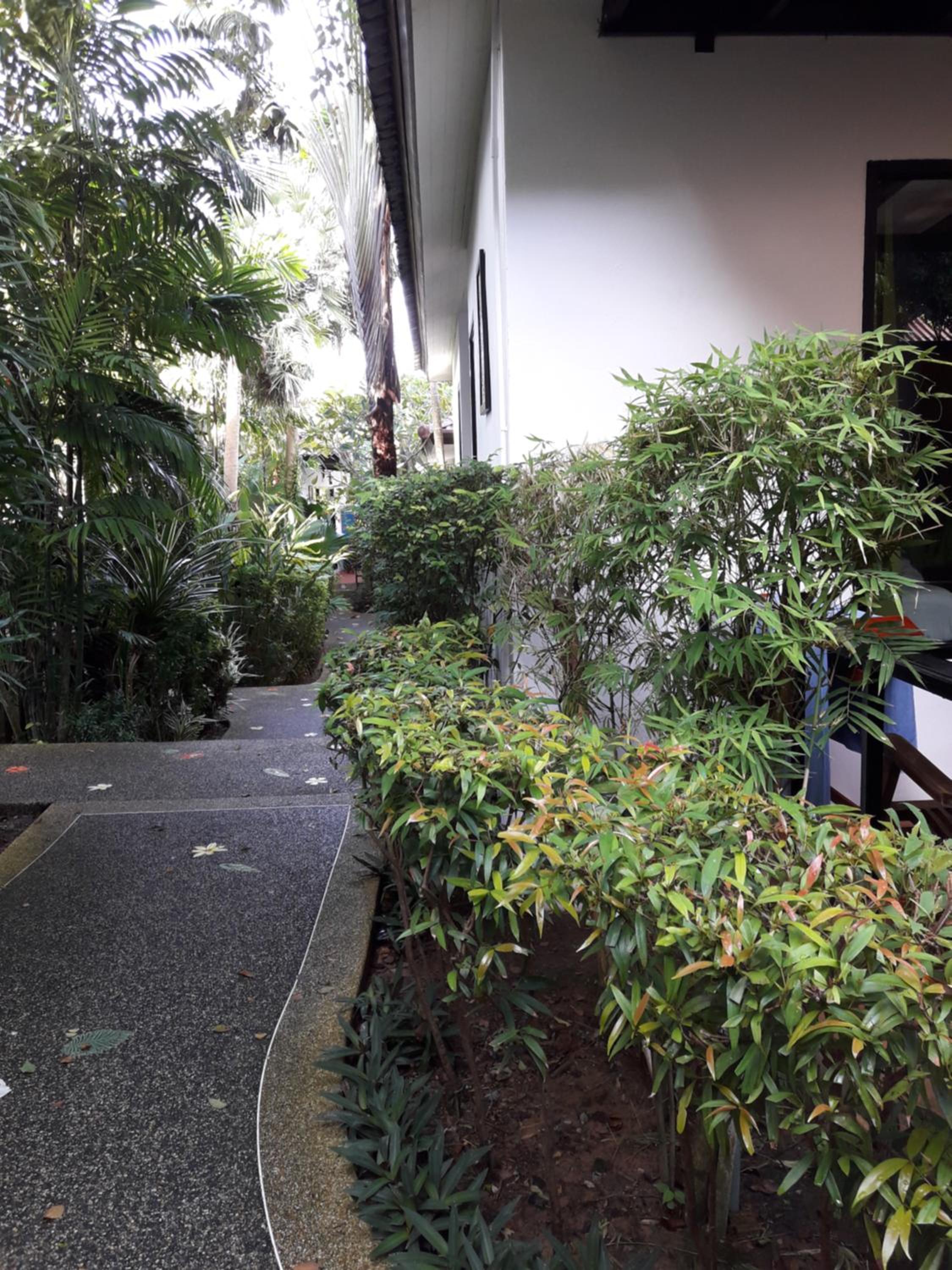 Cocoville Phuket - SHA Plus — 20