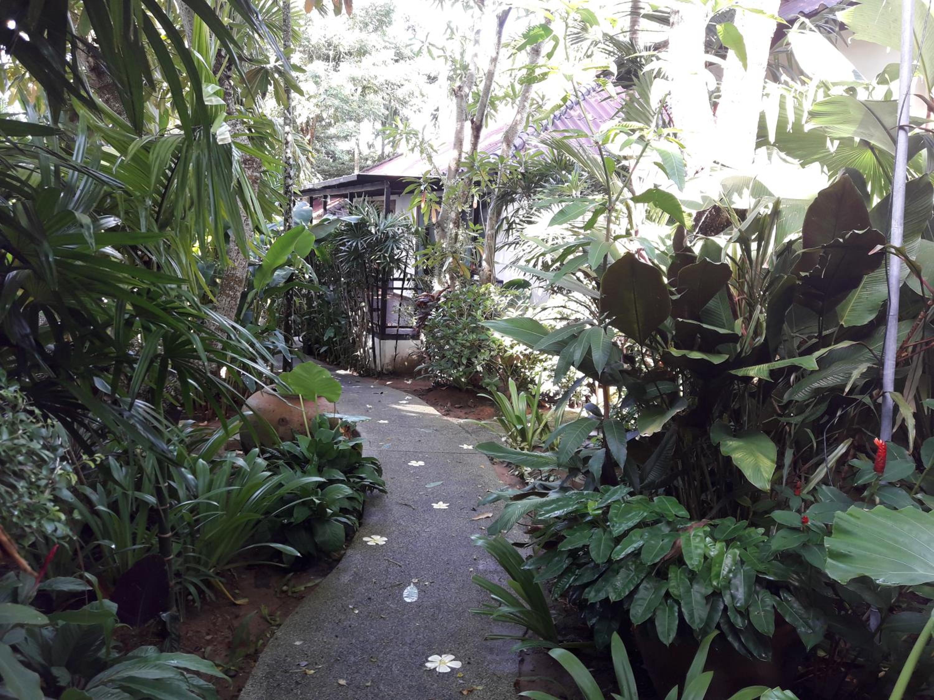 Cocoville Phuket - SHA Plus — 19