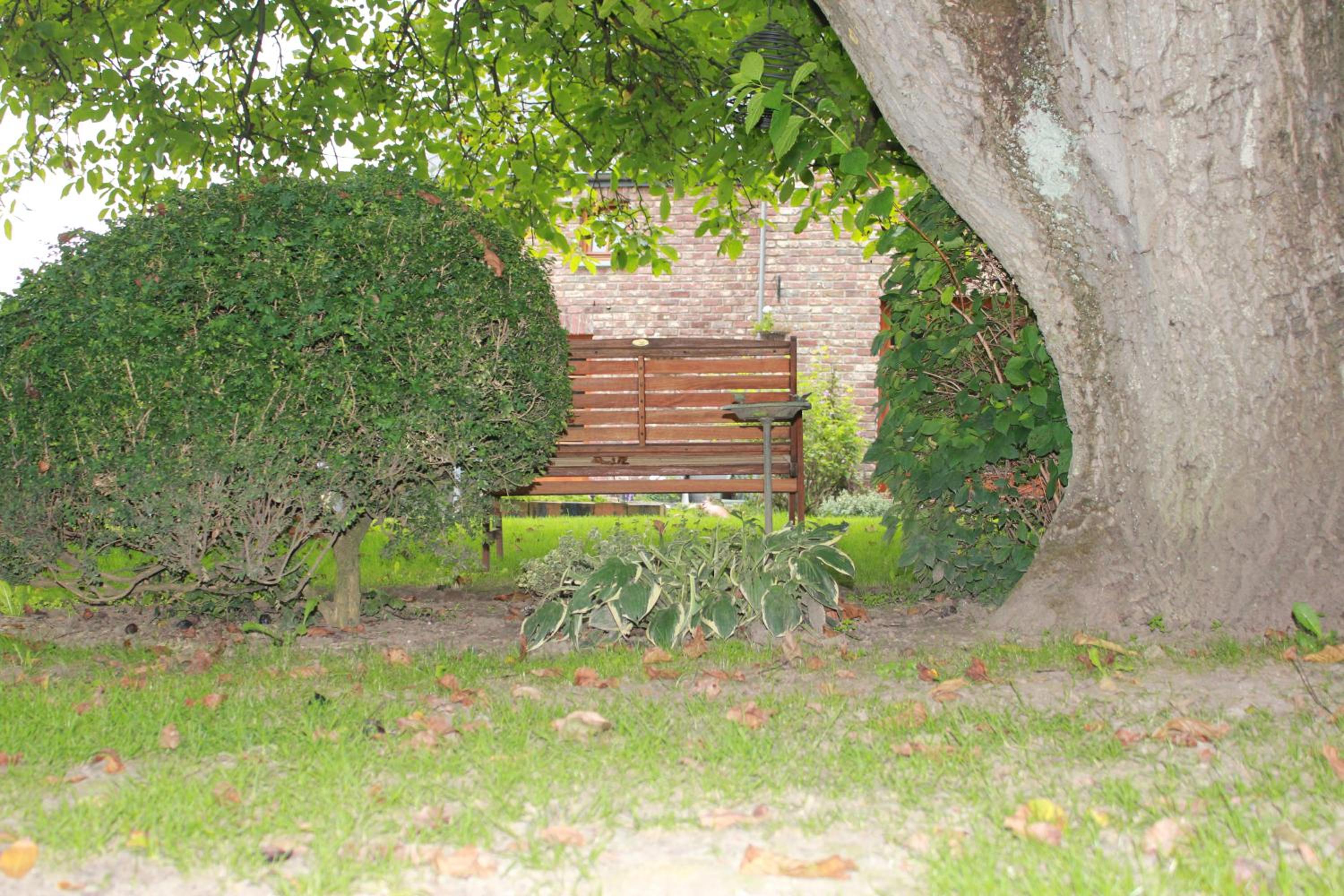 A l'ombre du noyer
