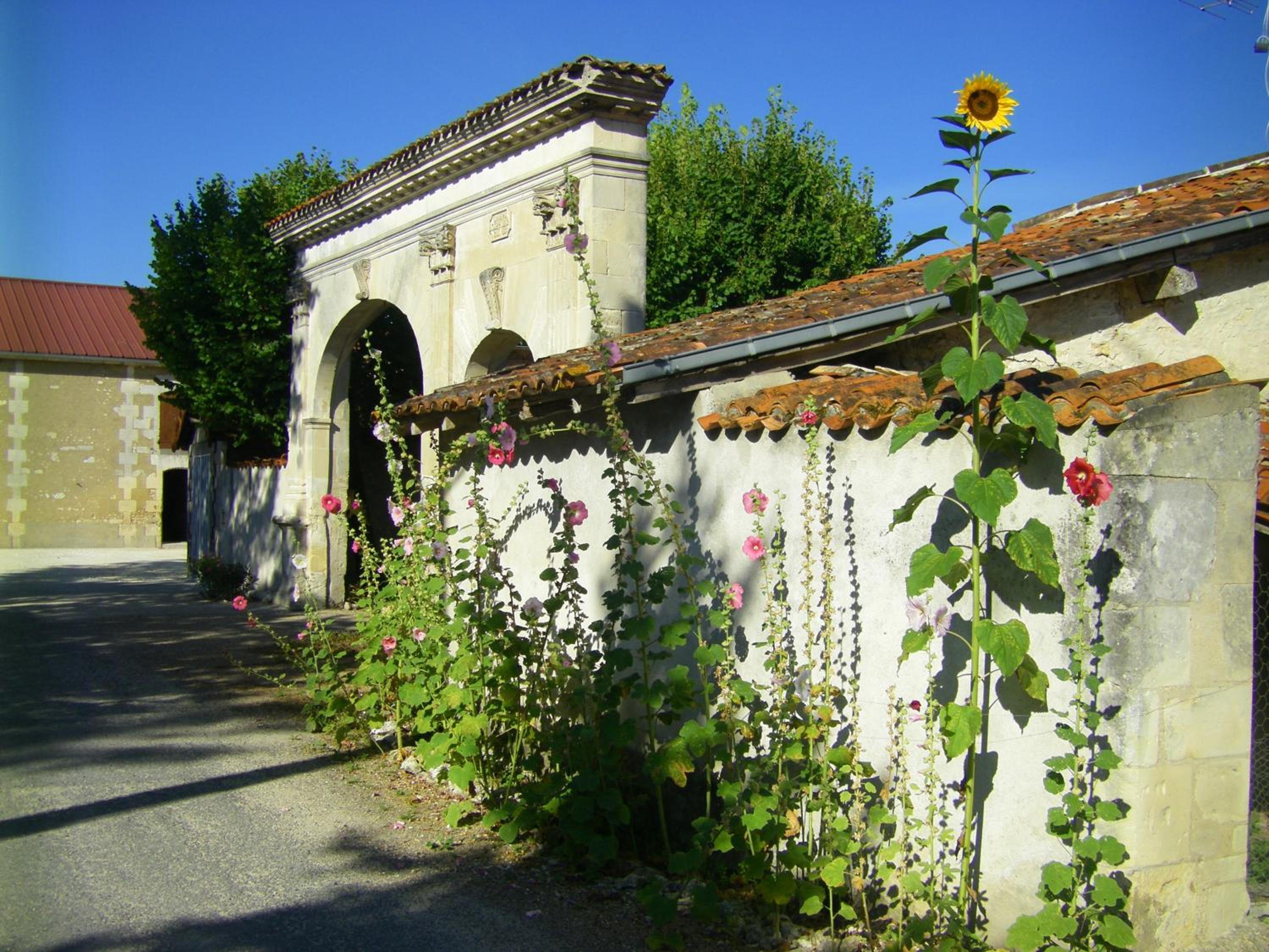 Chambre d'Hôtes Clos des Pierres Blanches view 3