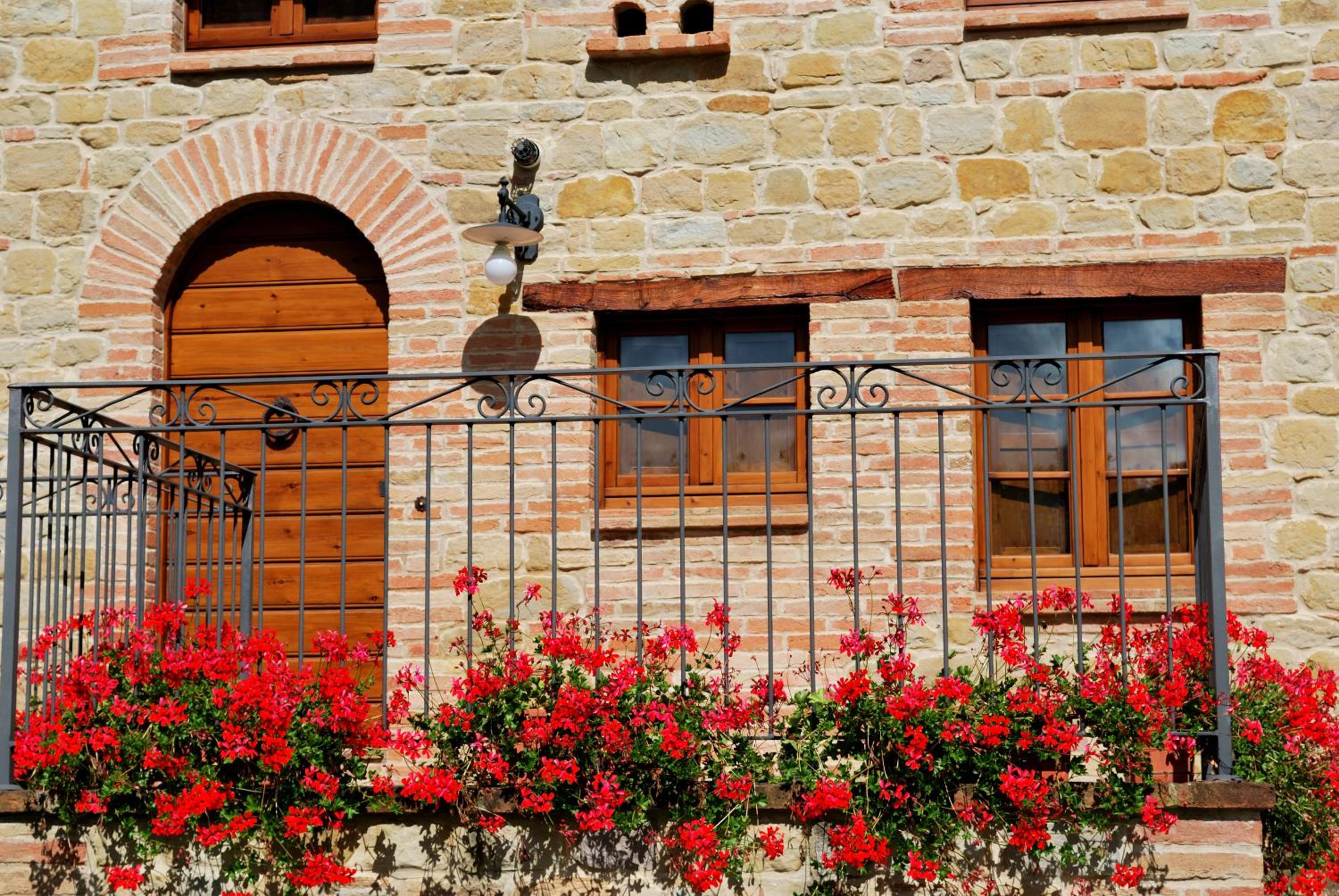 Agriturismo Elisei